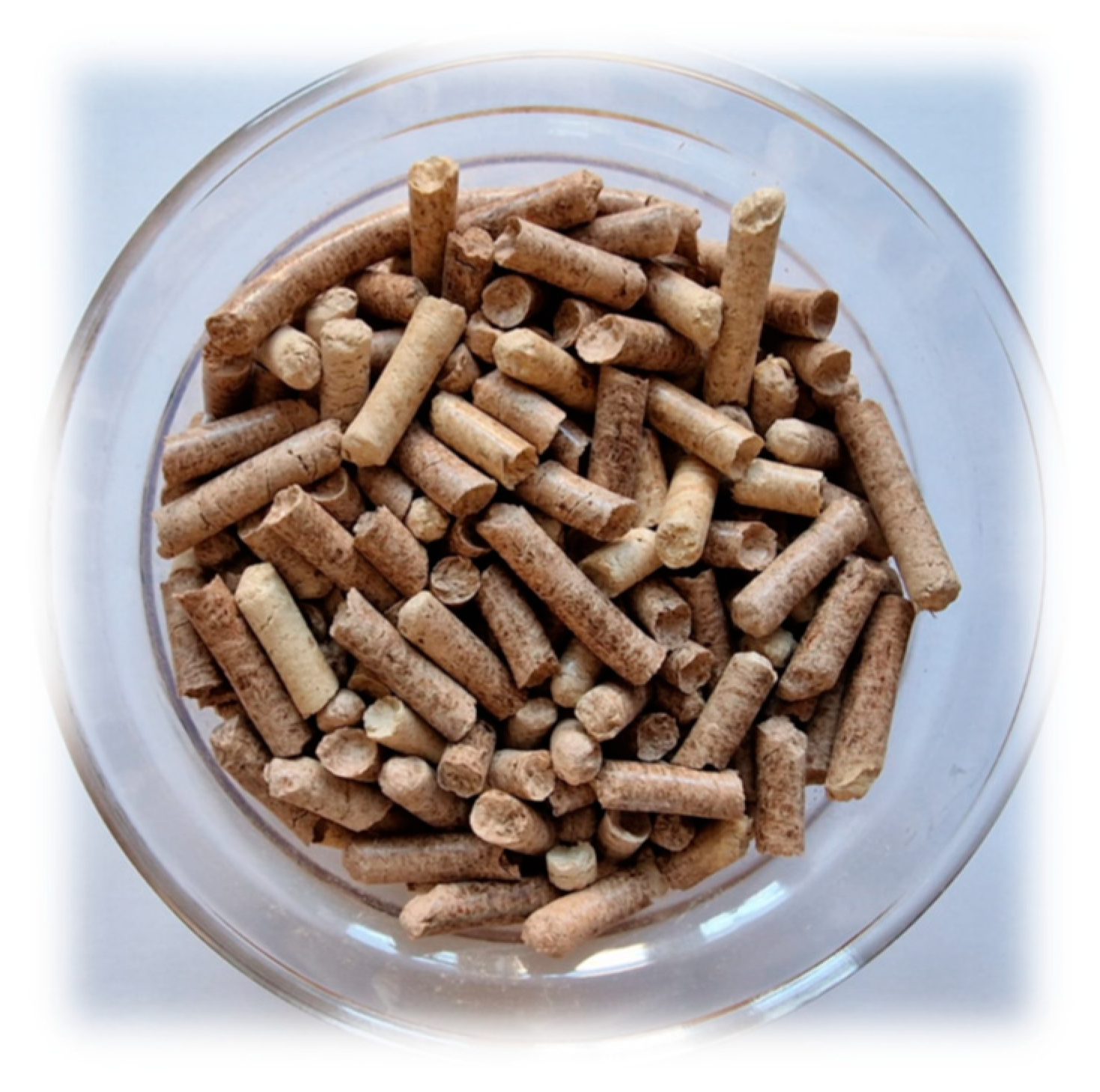 Forests 14 02025 g001