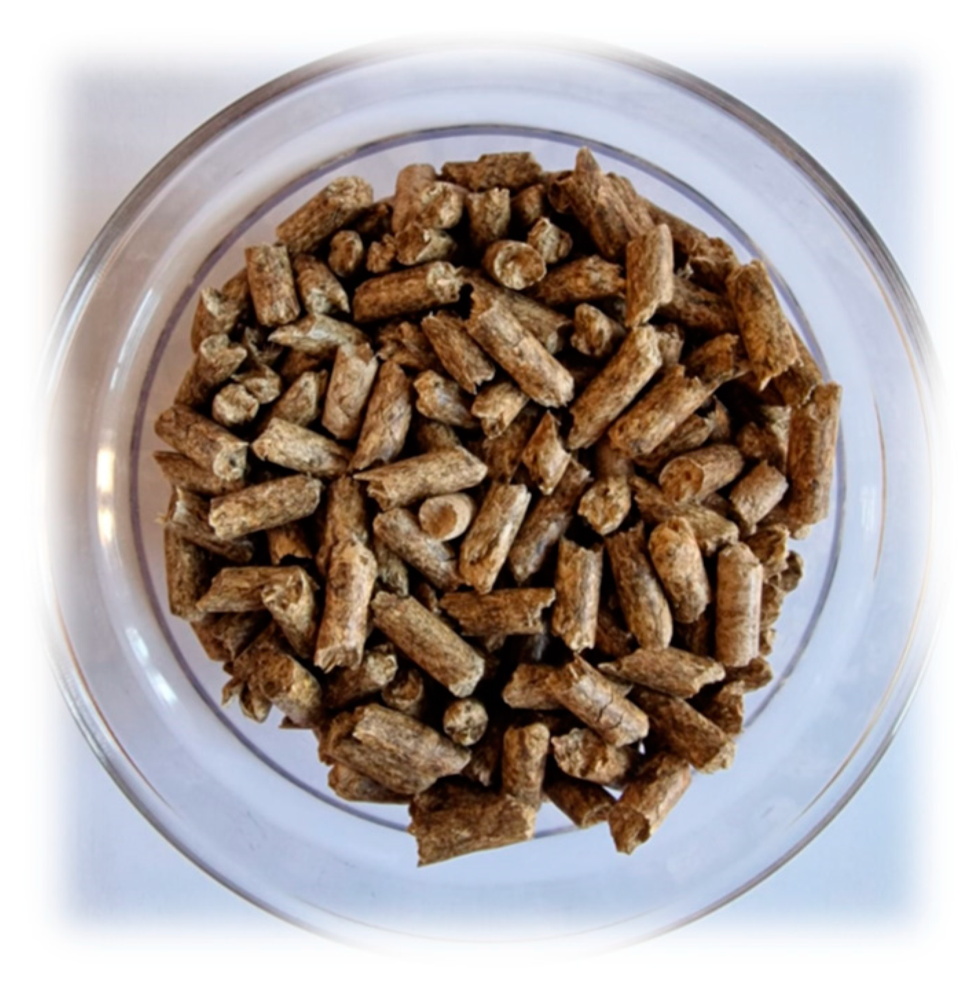 Forests 14 02025 g002