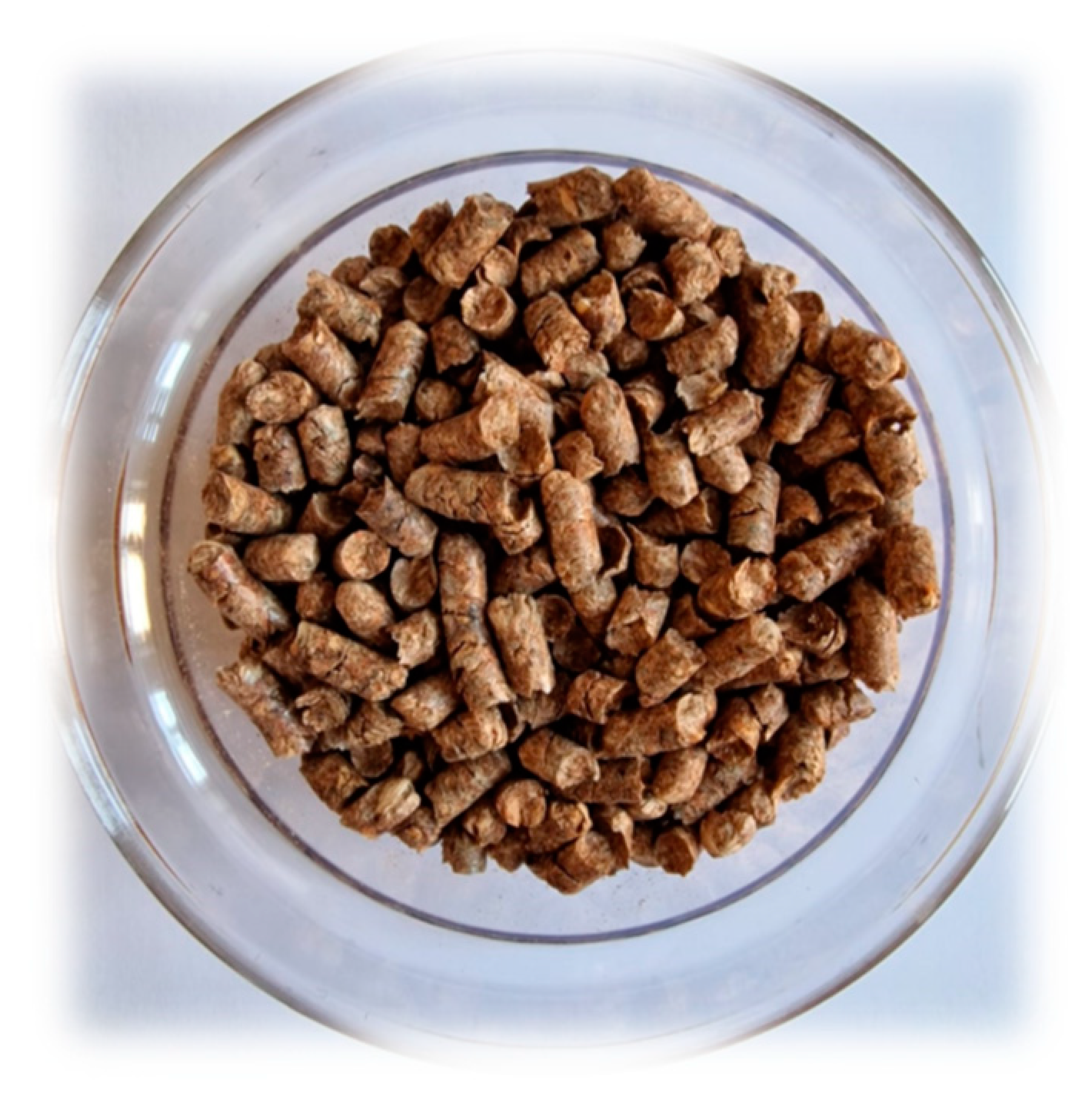 Forests 14 02025 g003