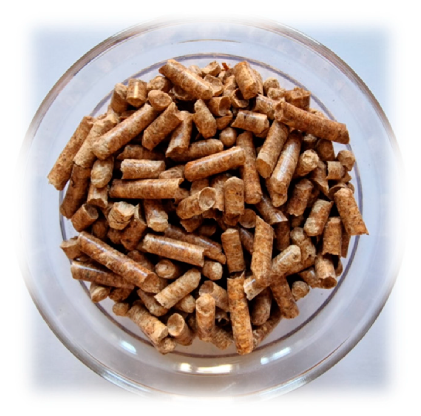 Forests 14 02025 g004