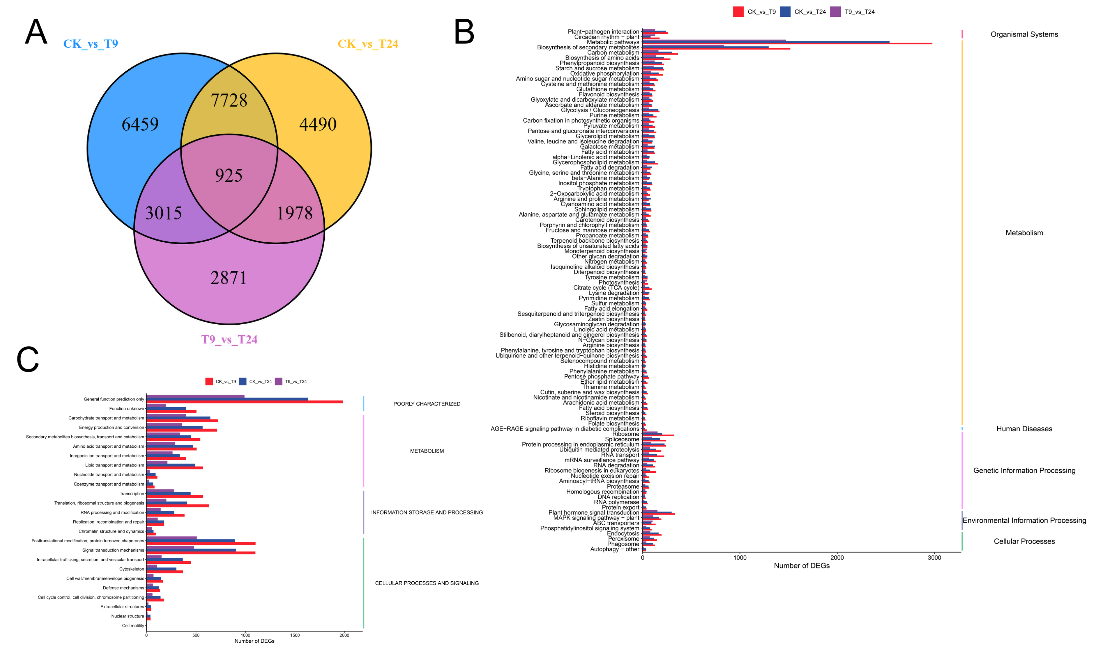 Forests 14 02034 g002 Forests 14 02034 g002