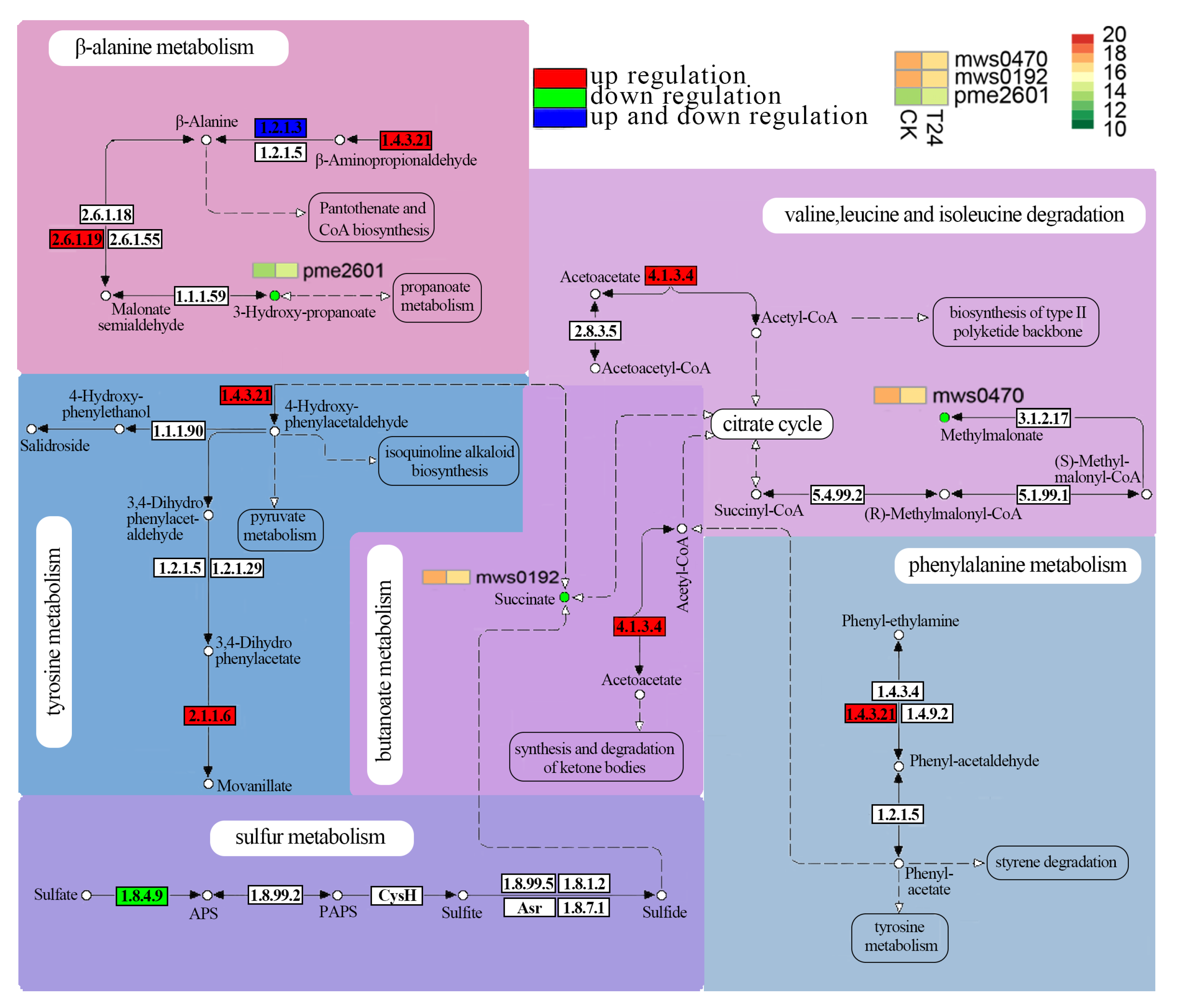 Forests 14 02034 g006 Forests 14 02034 g006