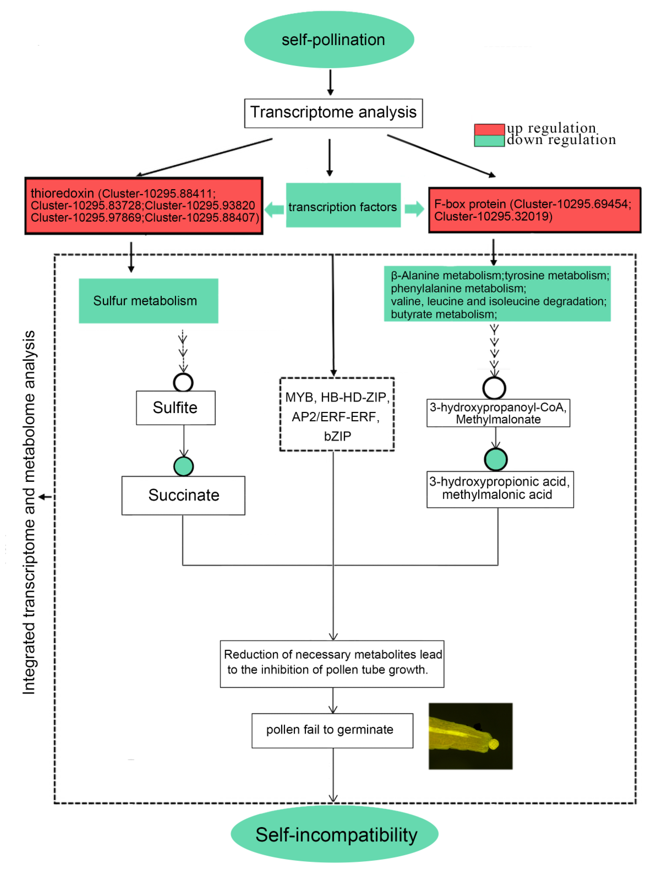 Forests 14 02034 g007 Forests 14 02034 g007