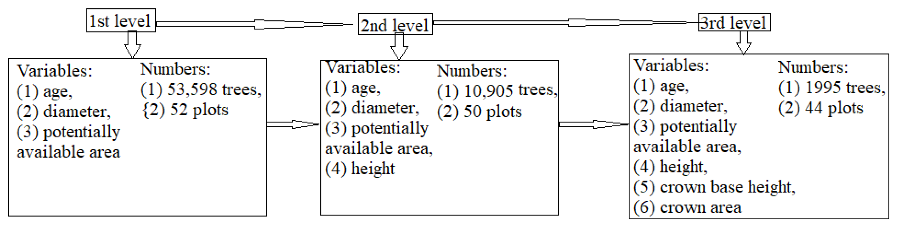 Forests 14 02037 g002