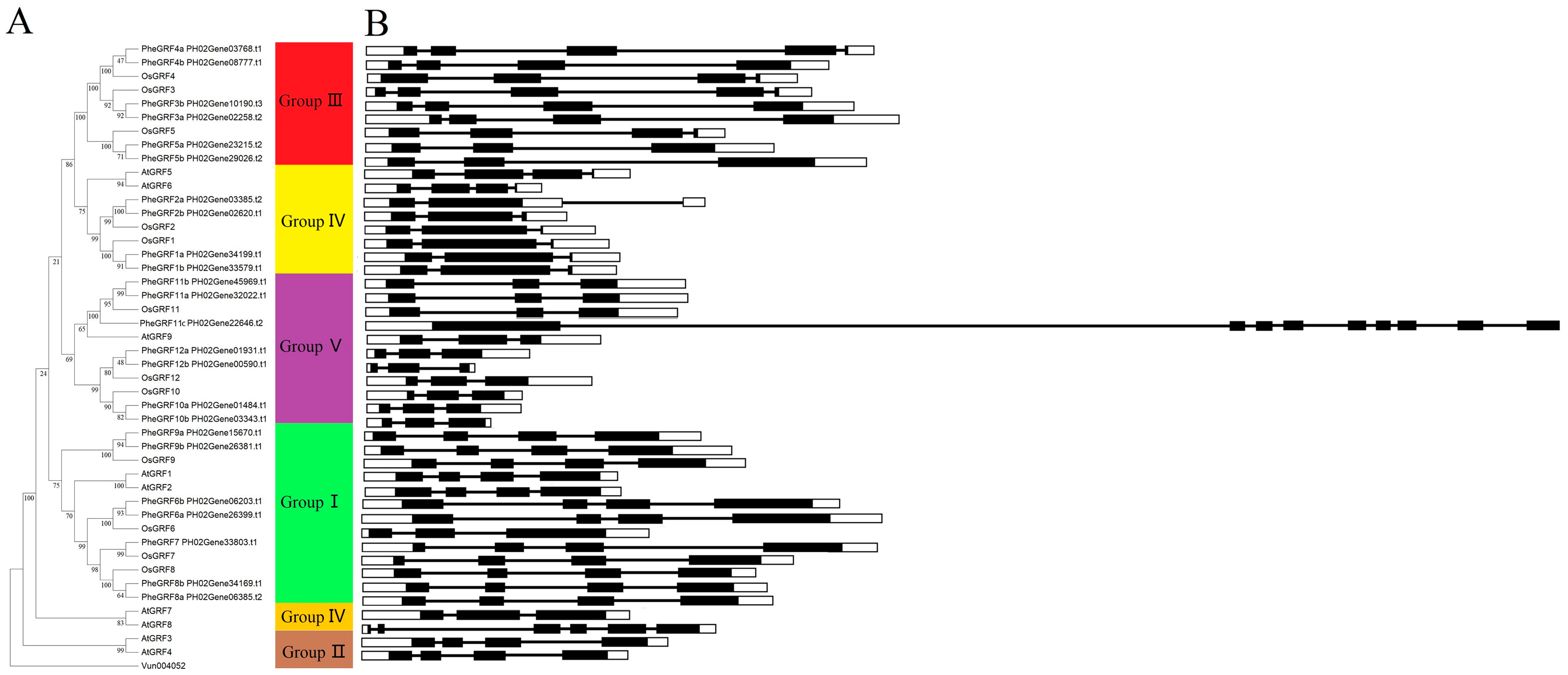 Forests 14 02044 g002