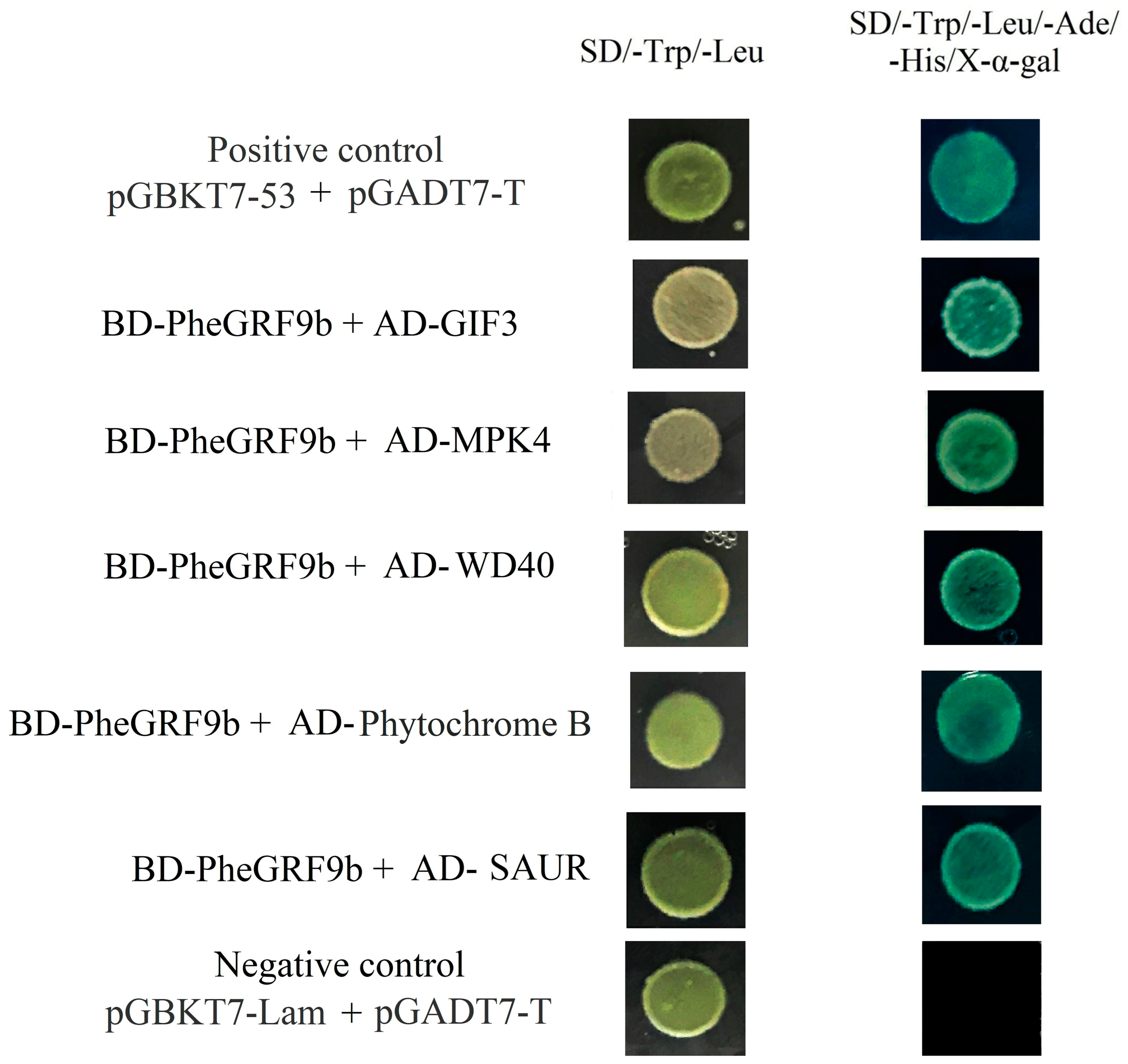 Forests 14 02044 g007