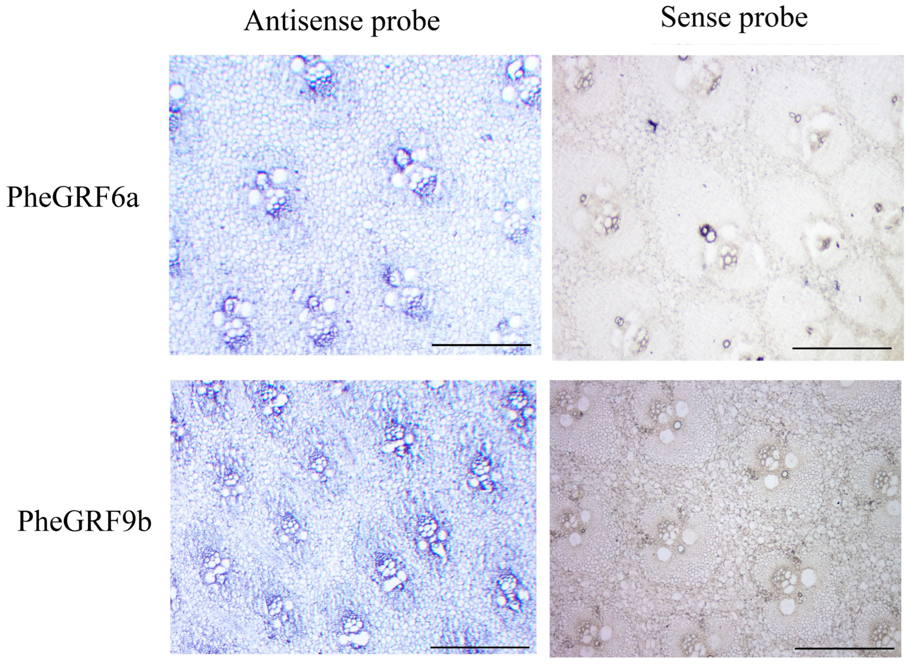 Forests 14 02044 g009