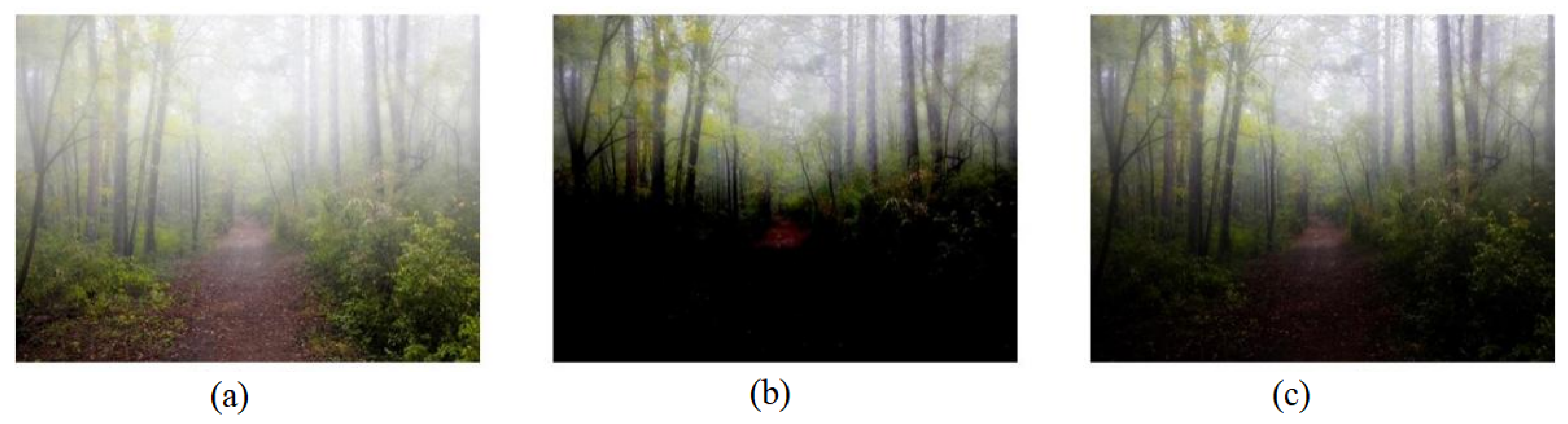 Forests 14 02062 g002
