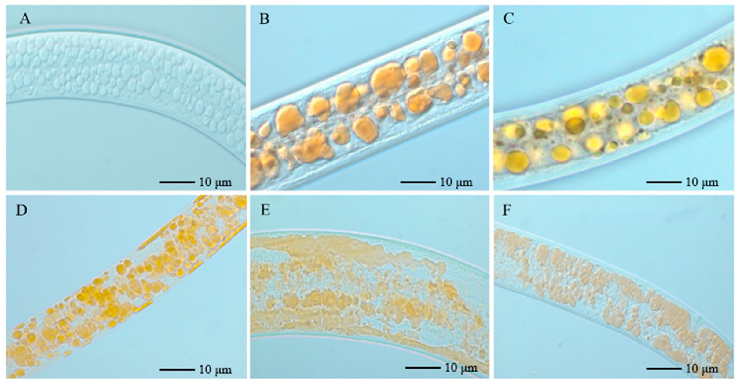 Forests 14 02065 g001