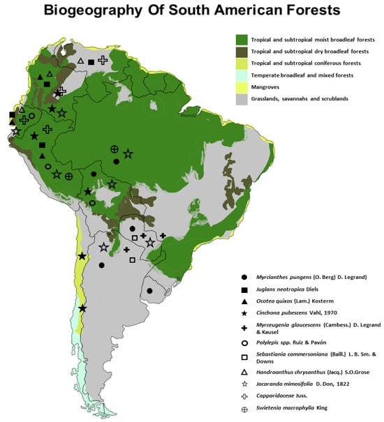 I maked my own Temerant Map (Spanish version) : r