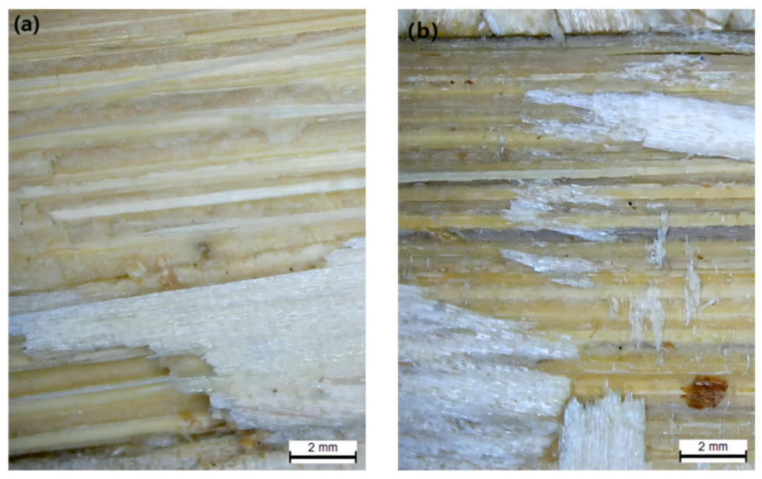 Forests 14 02094 g005