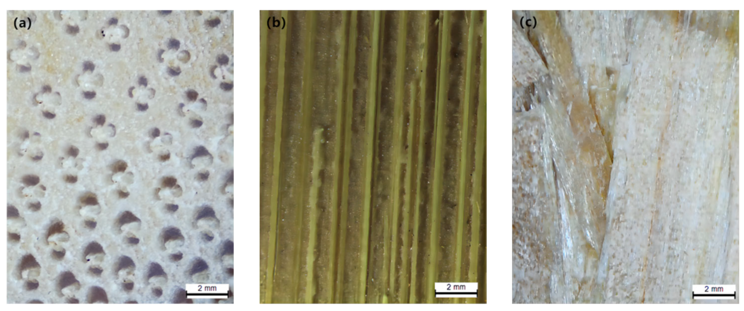 Forests 14 02094 g007