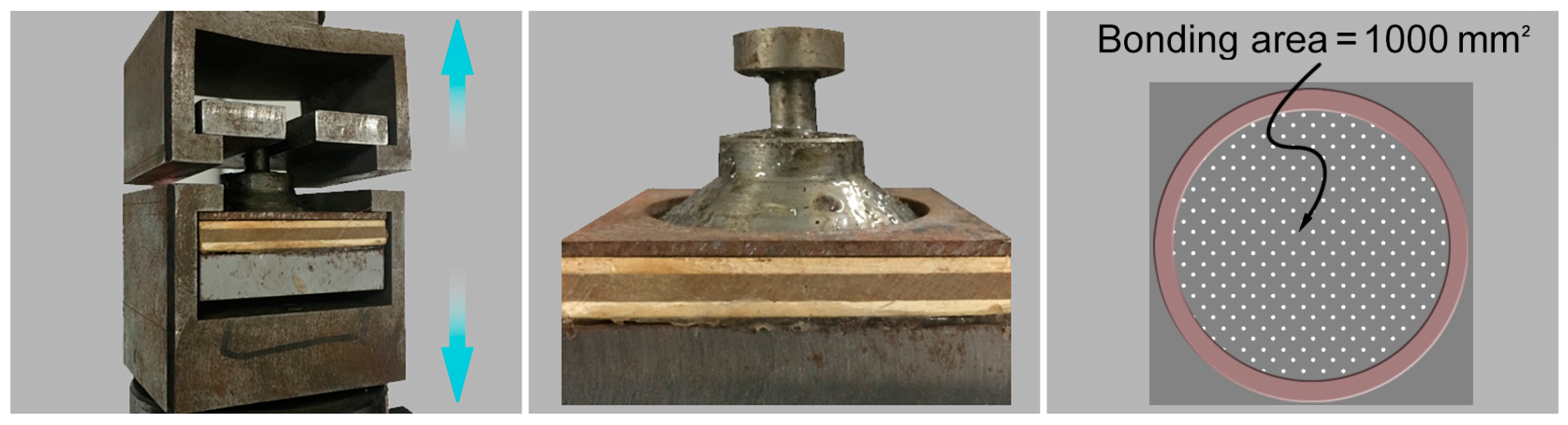 Forests 14 02147 g002