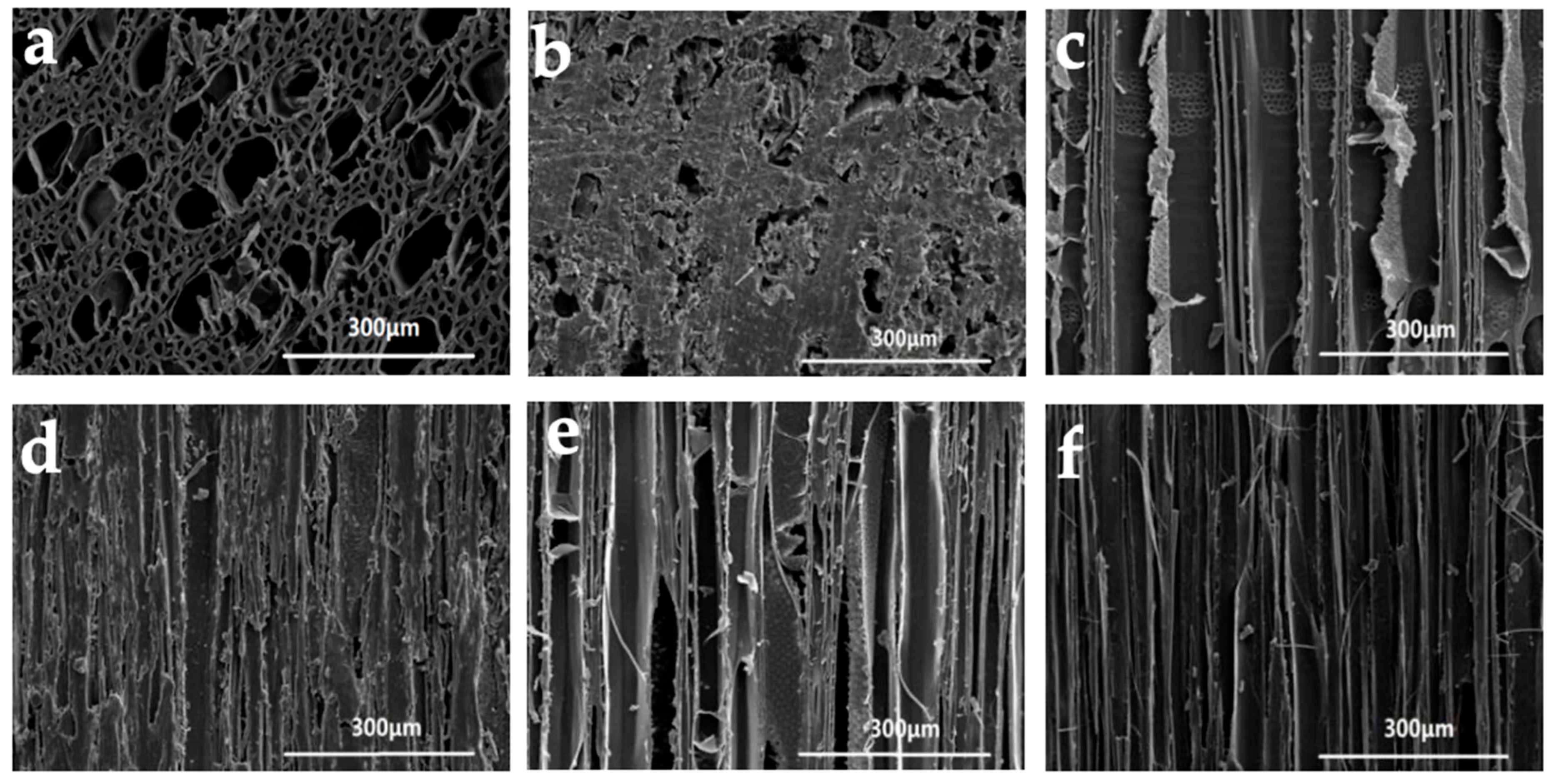 Forests 14 02176 g011