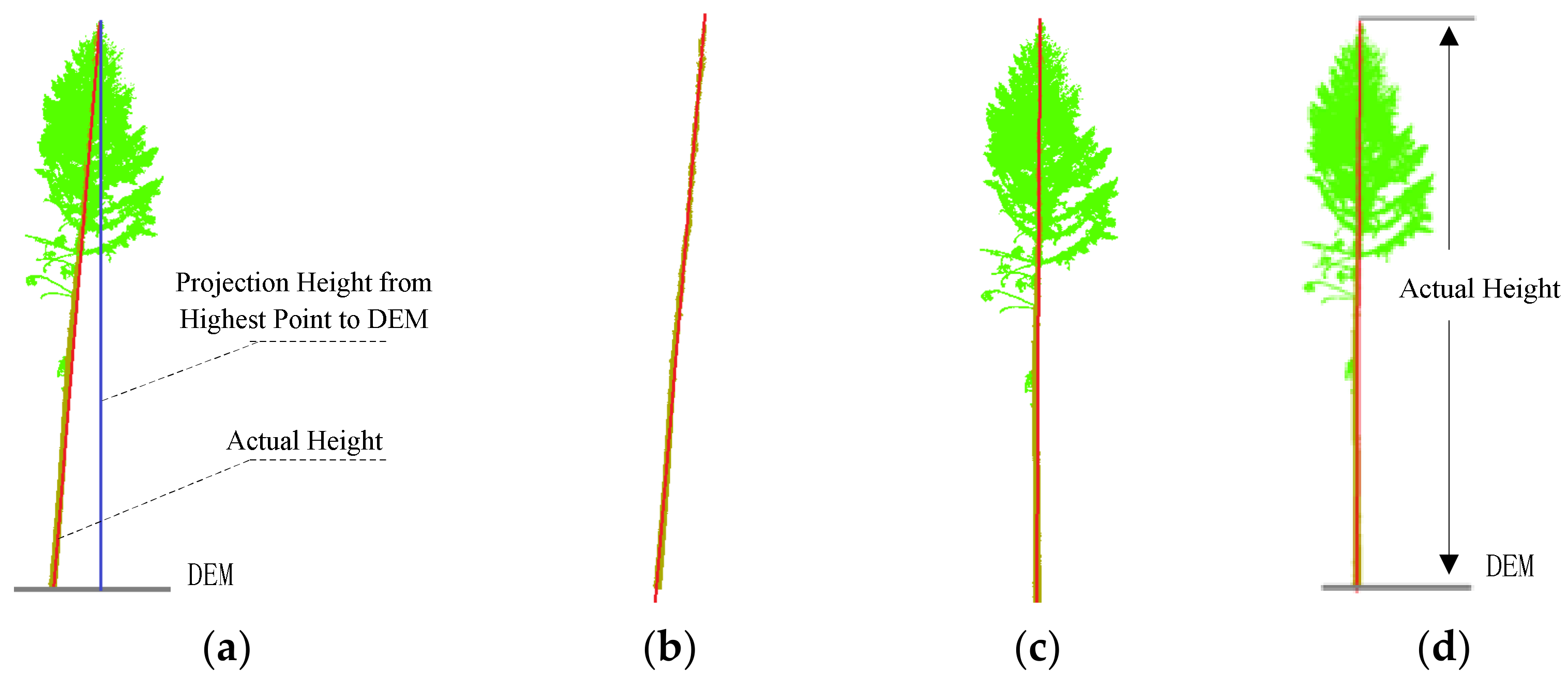 Forests 14 02179 g009