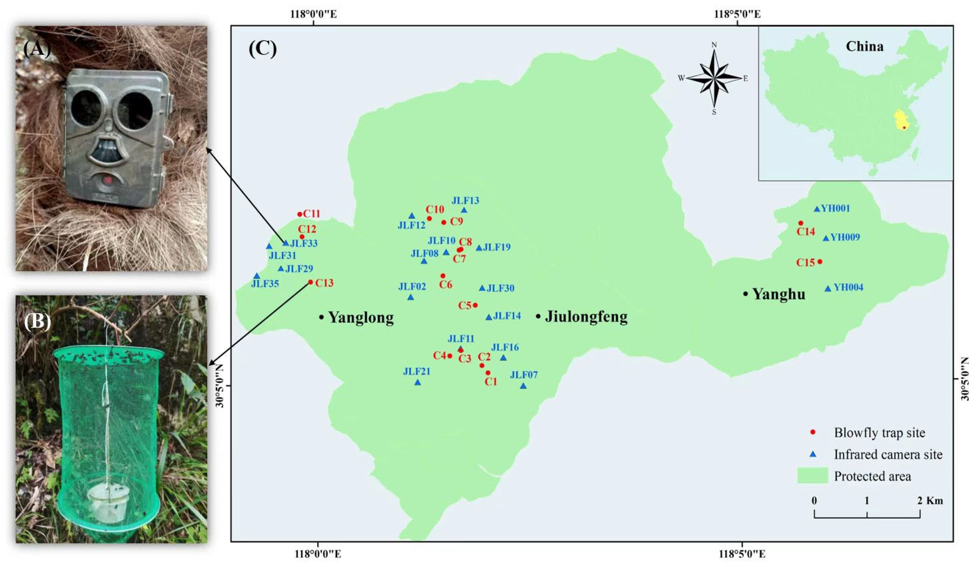 Forests Free Full Text Comparative Study on Blowfly Derived