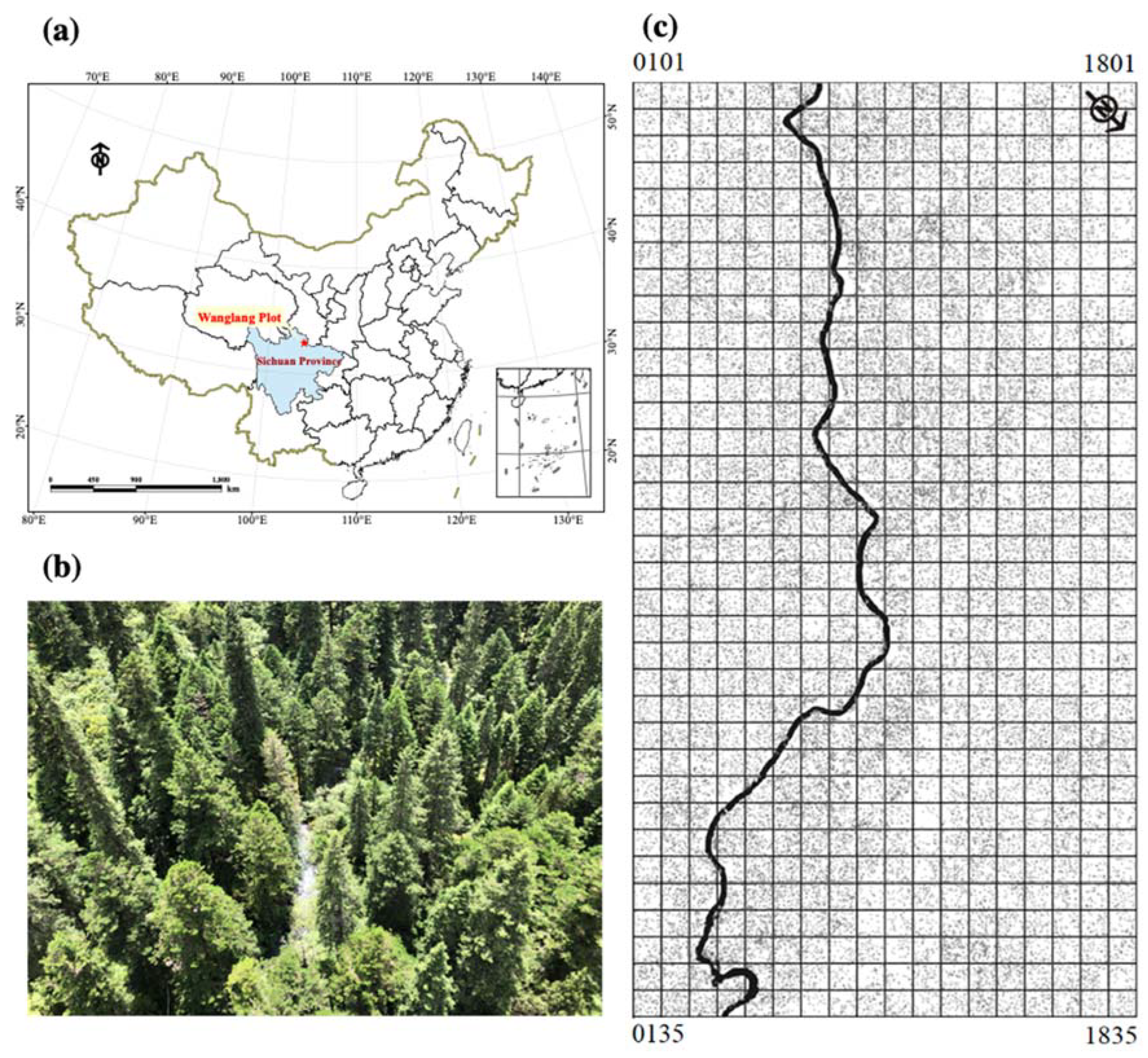 Forests 14 02197 g001