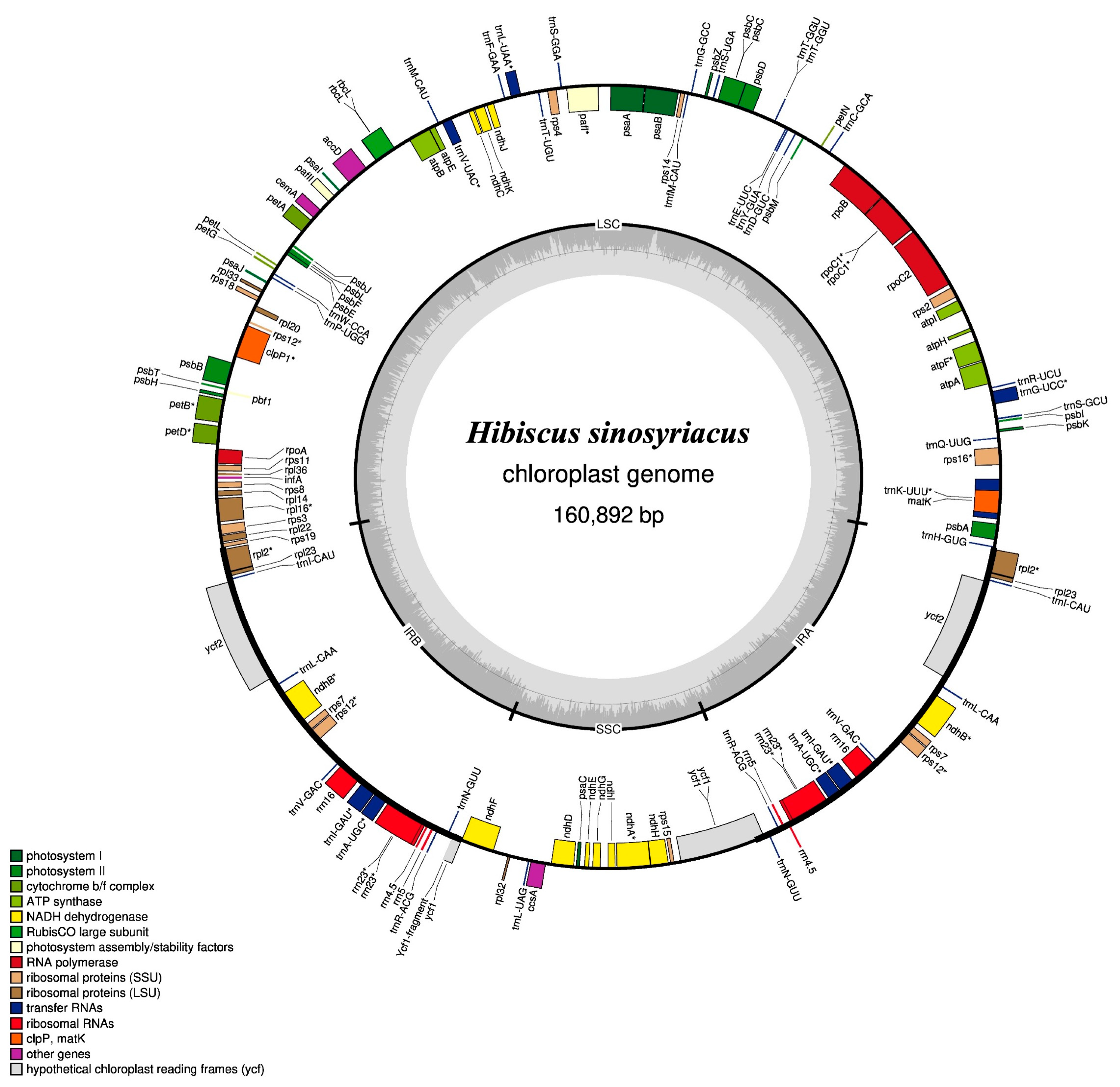 Forests 14 02221 g001