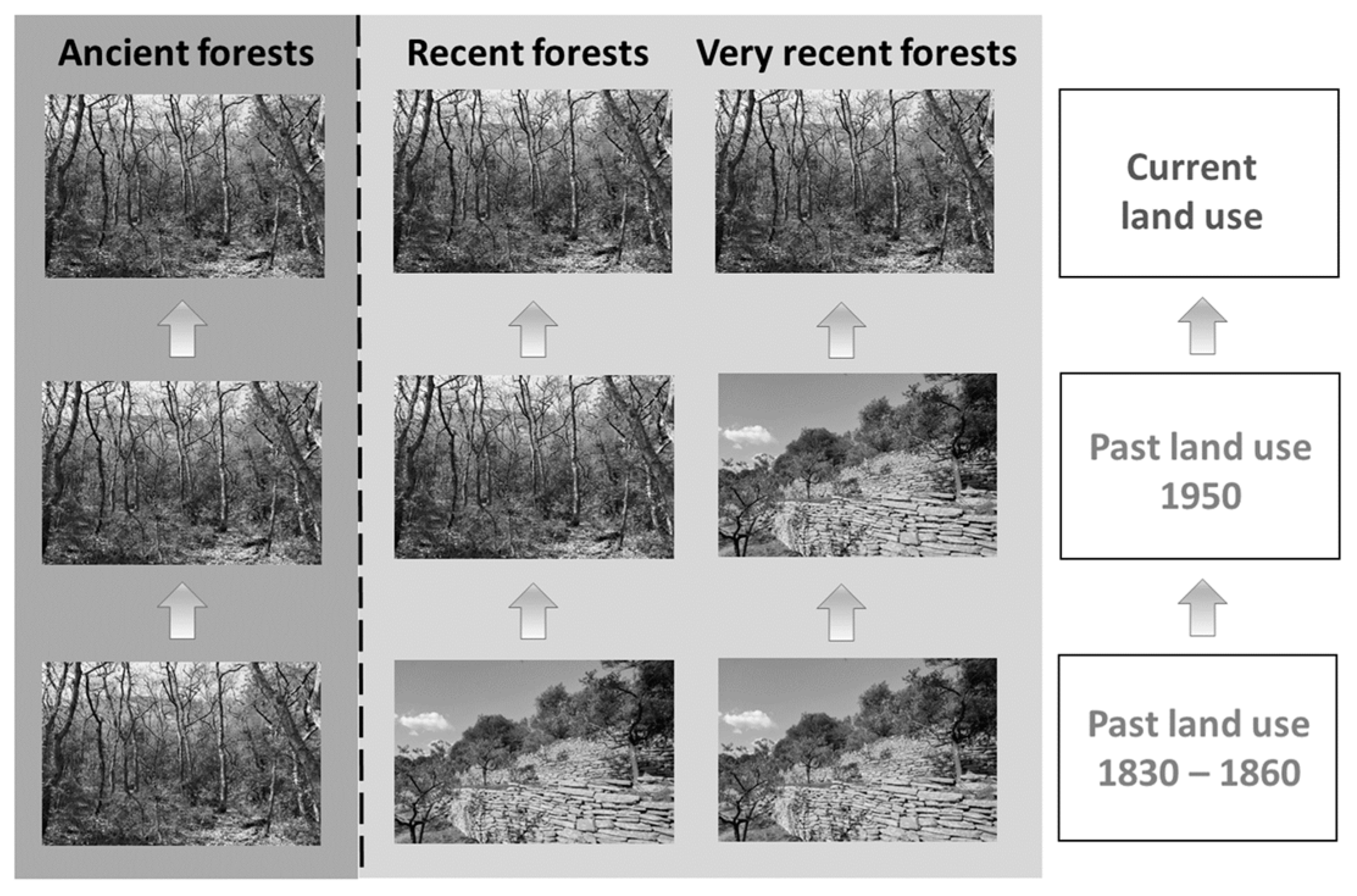 Forests 14 02223 g002