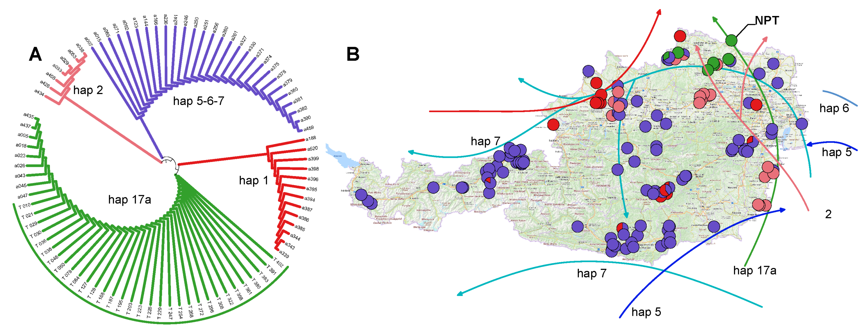 Forests 14 02225 g002
