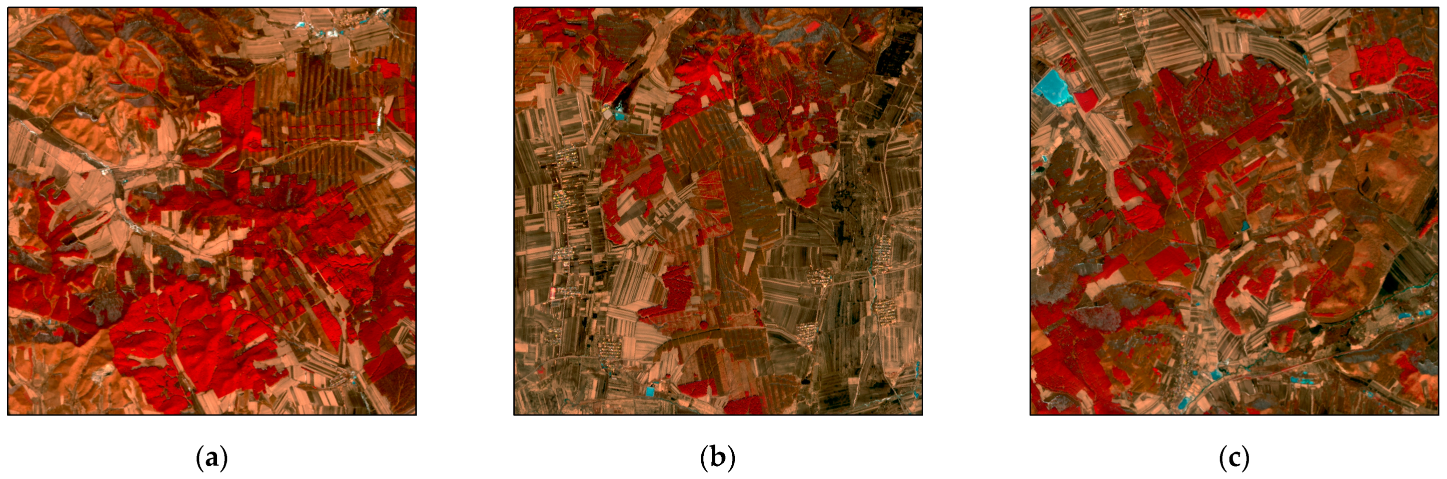 Forests 14 02248 g004