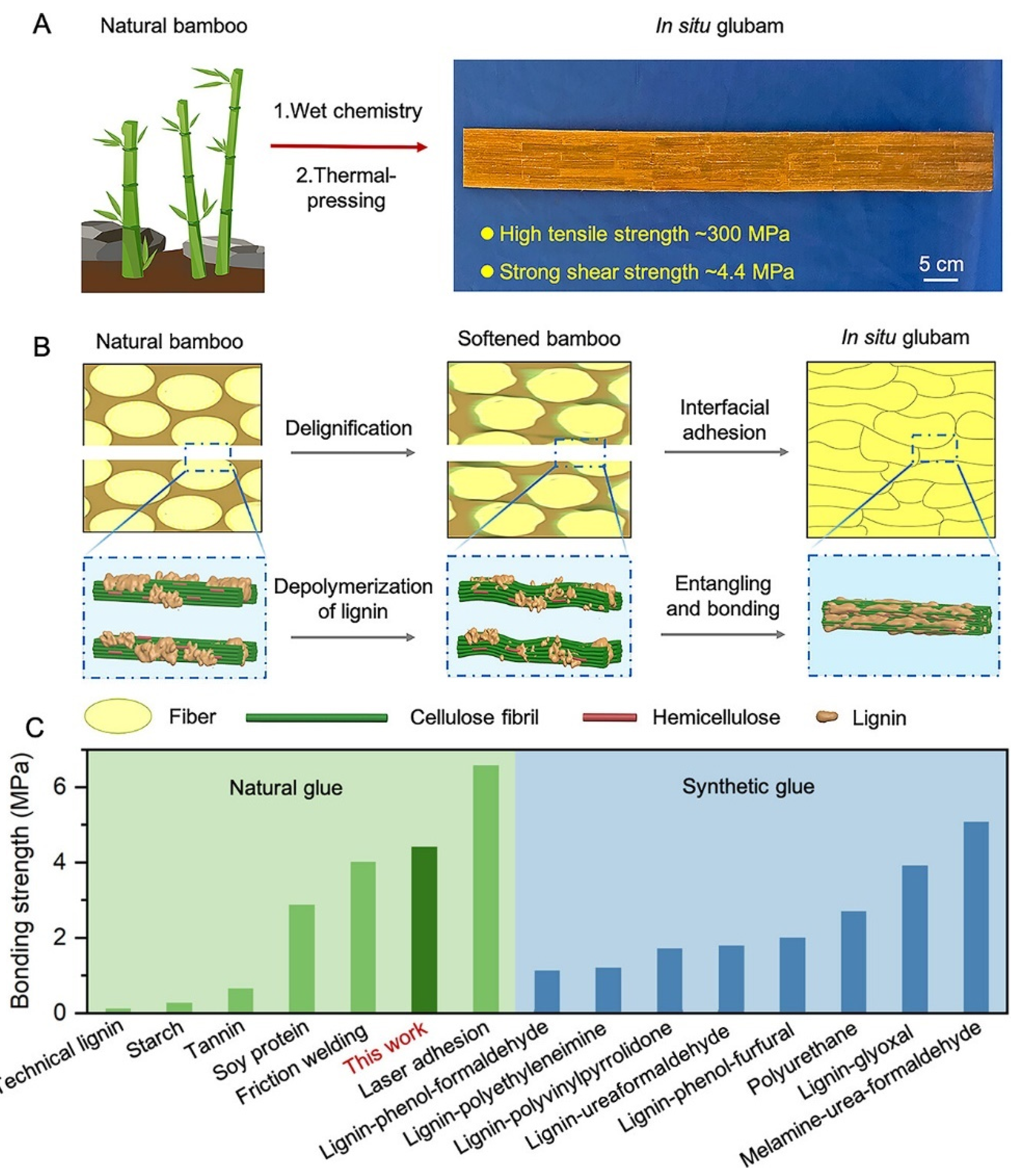 Forests 14 02266 g002