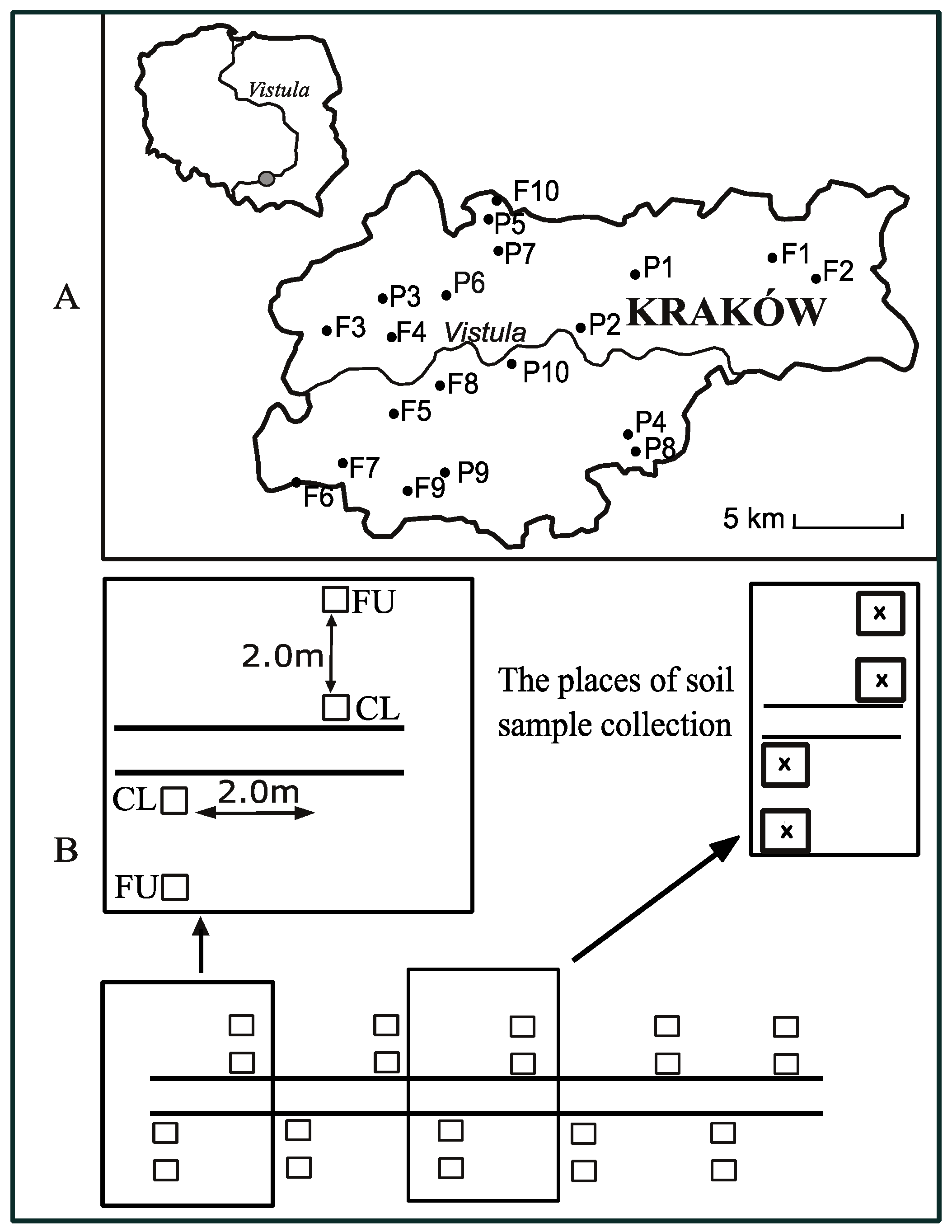 Forests 14 02272 g001