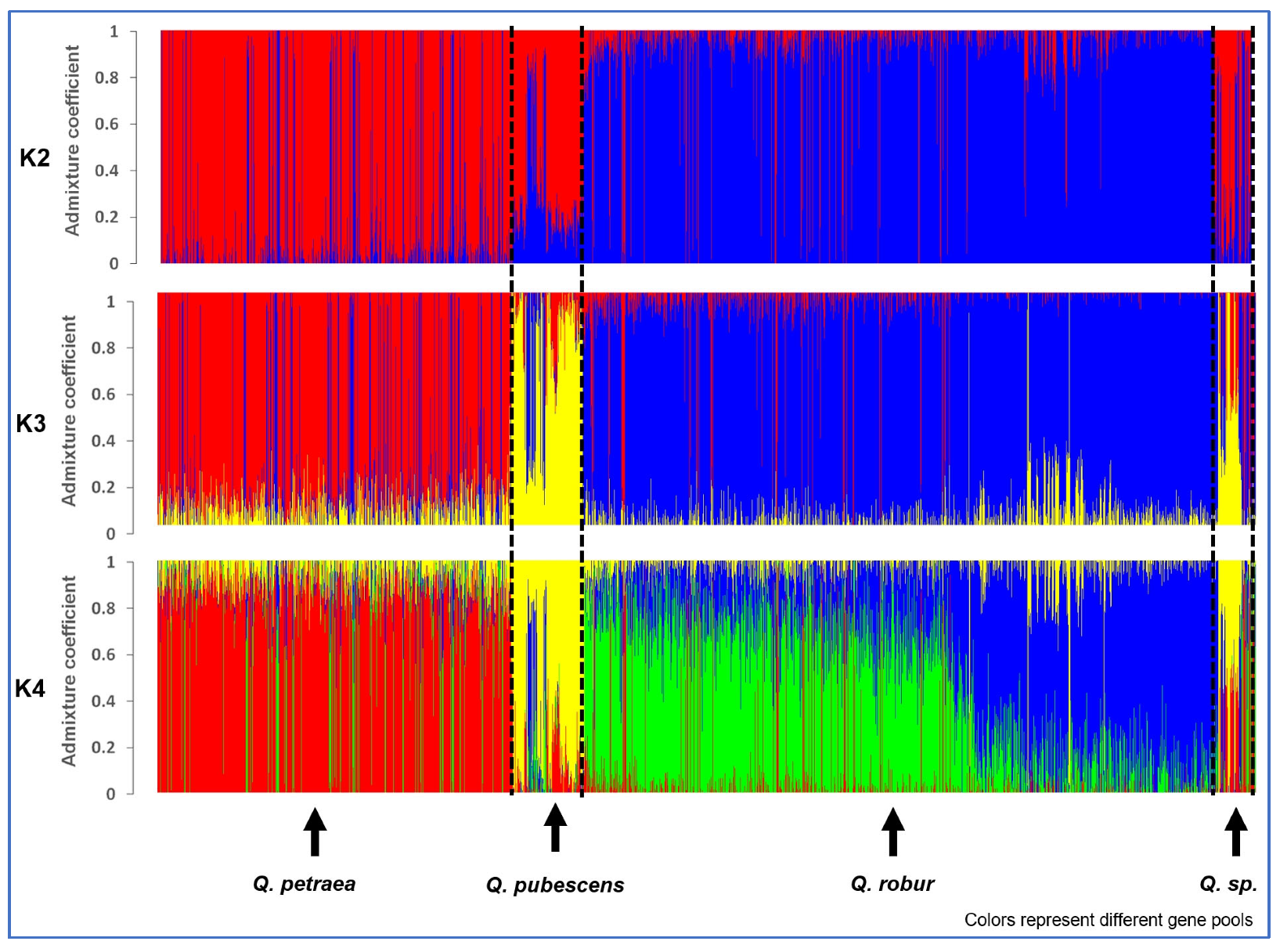 Forests 14 02279 g002