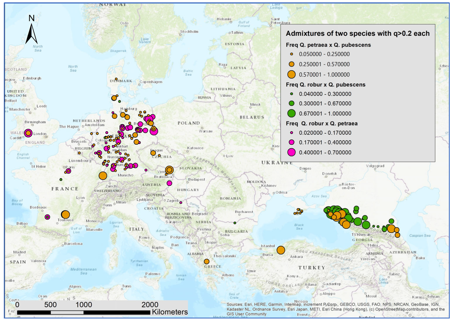 Forests 14 02279 g004