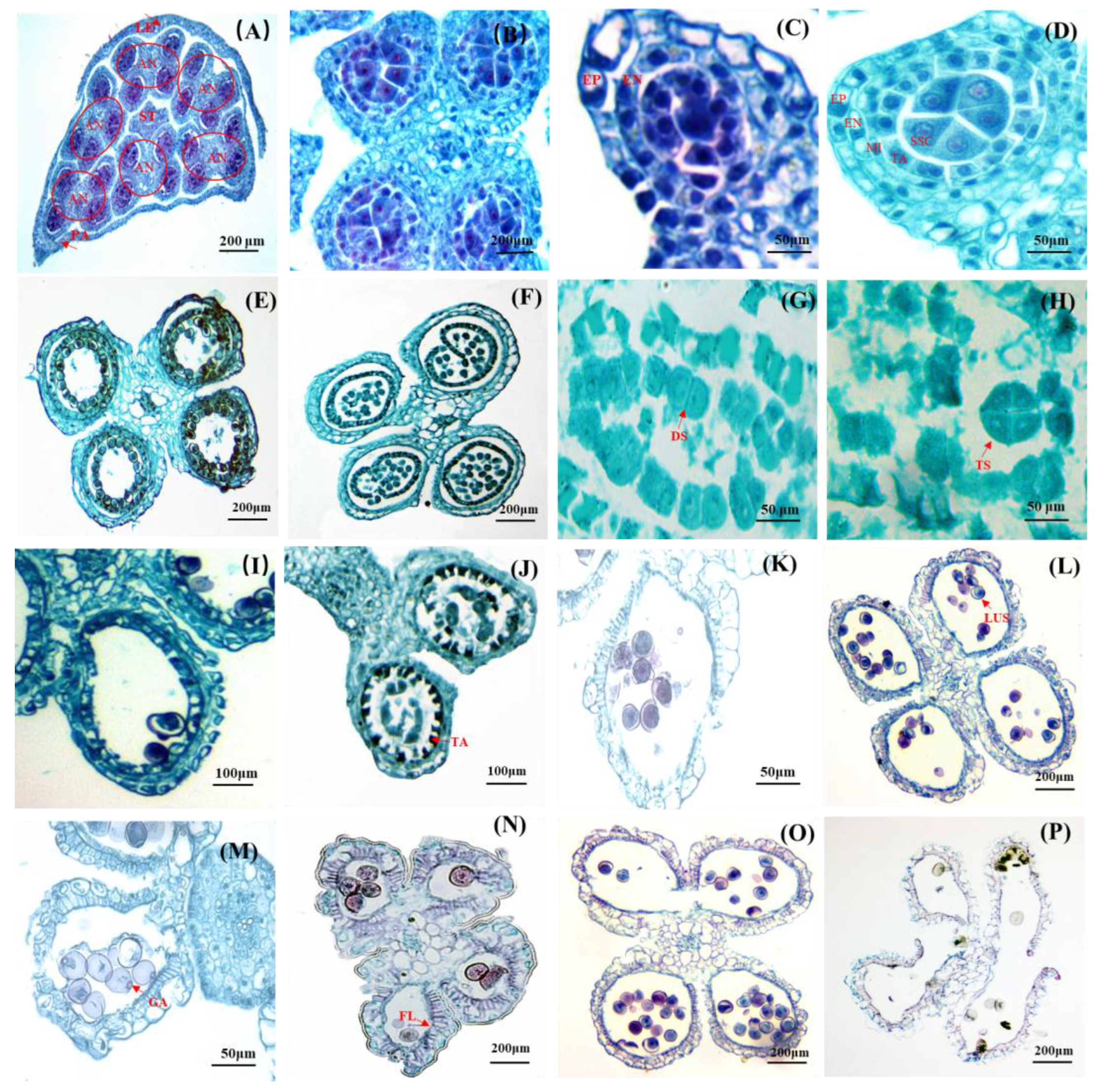 Forests 14 02282 g002