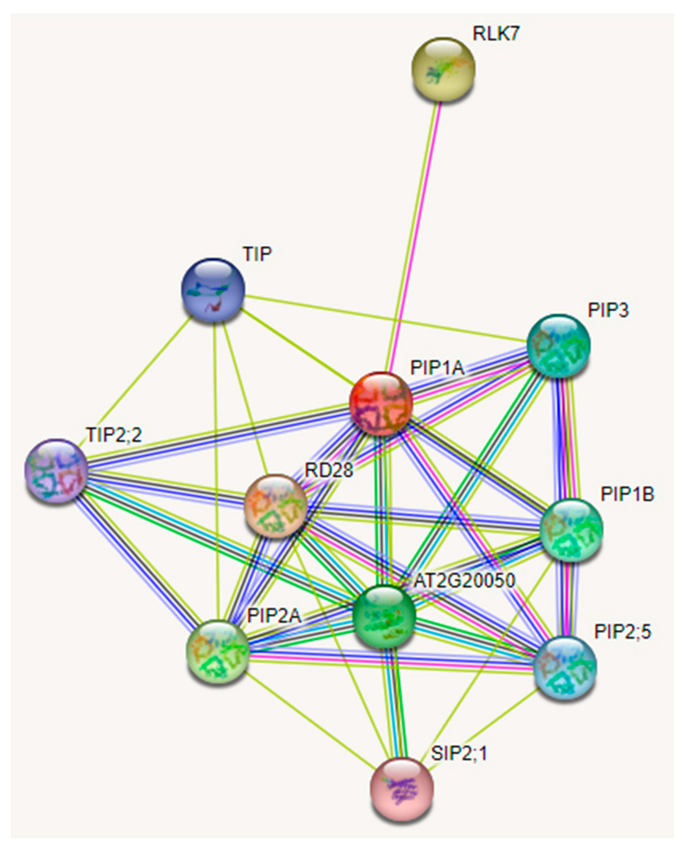 Forests 14 02306 g004
