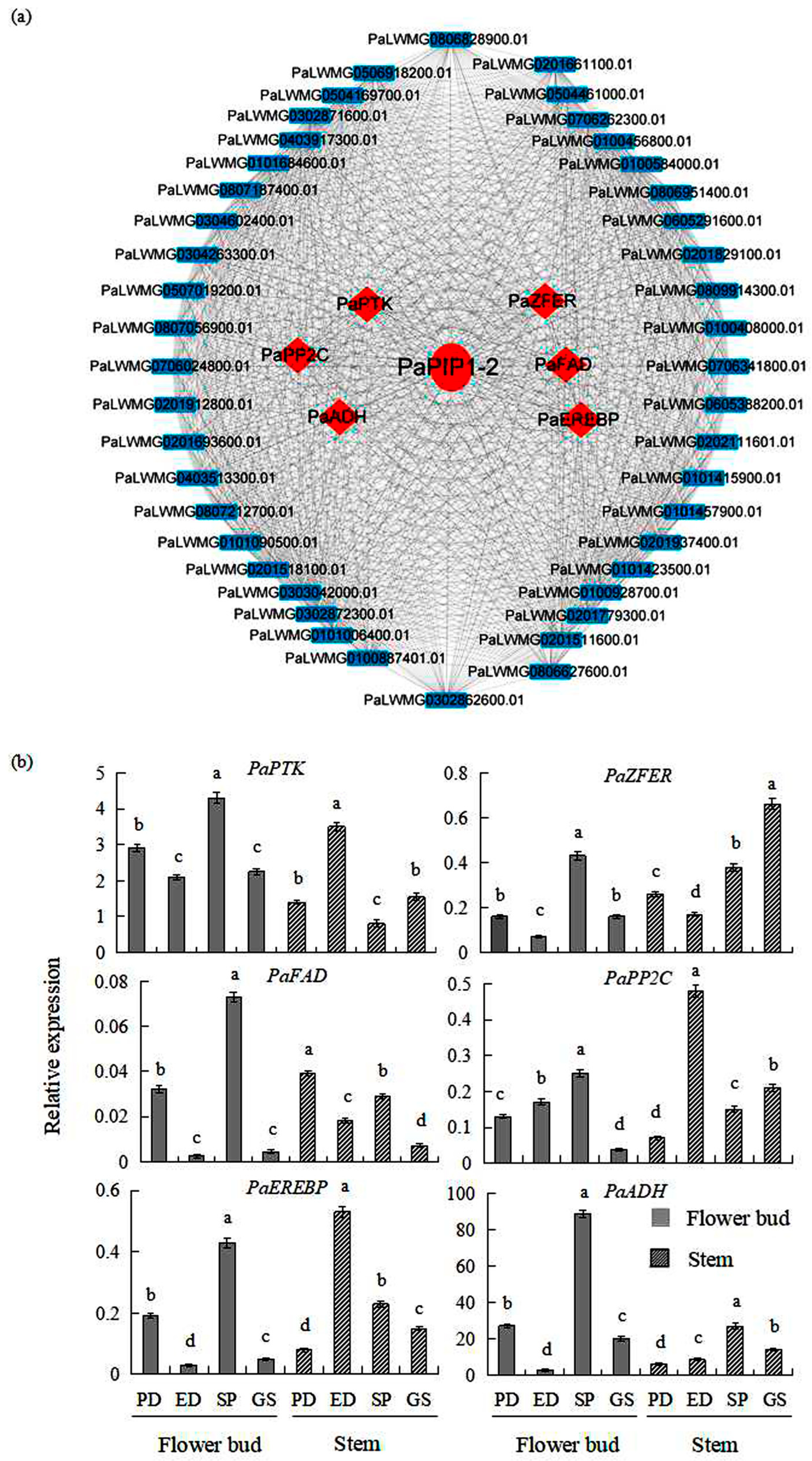 Forests 14 02306 g005