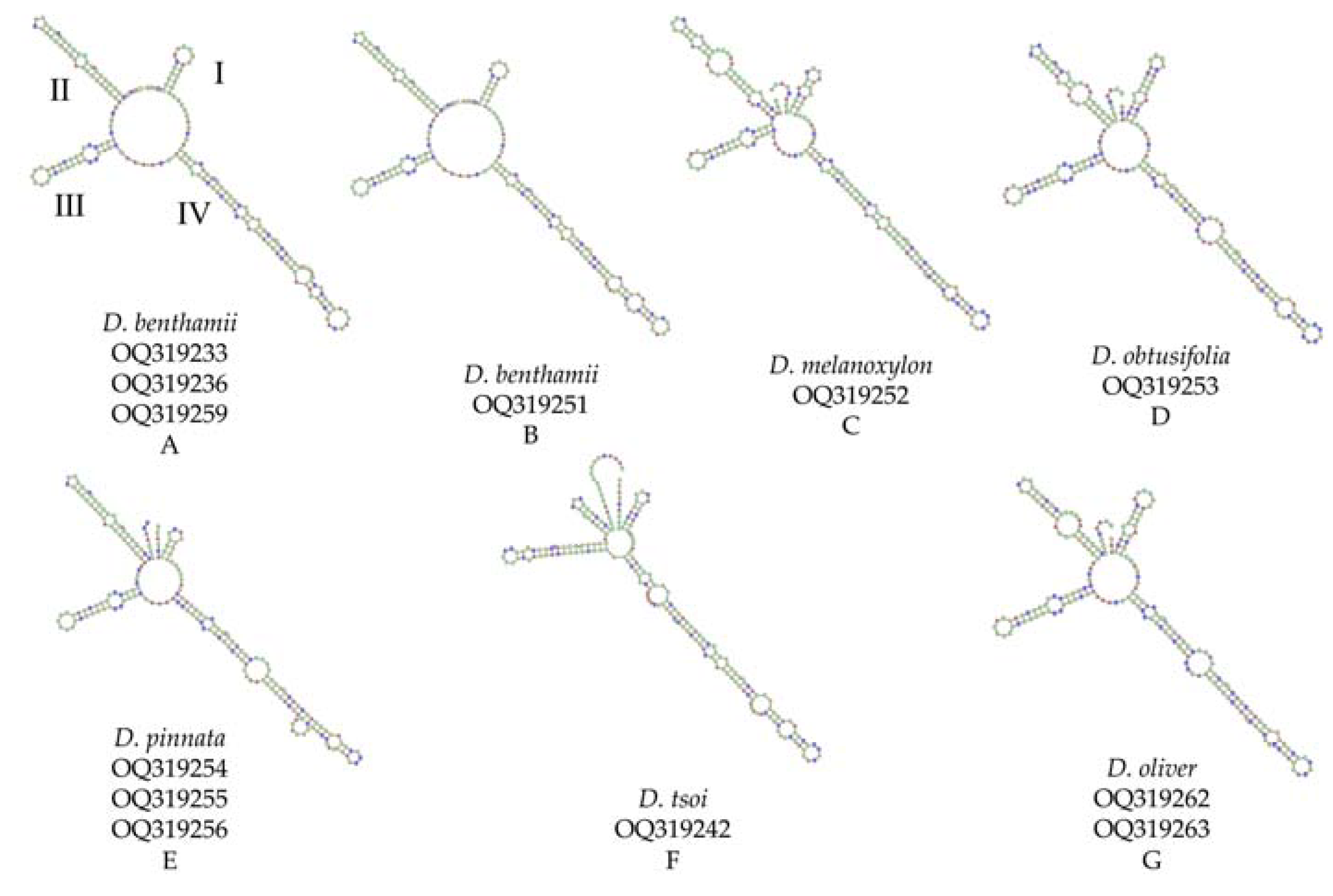 Forests 14 02318 g004