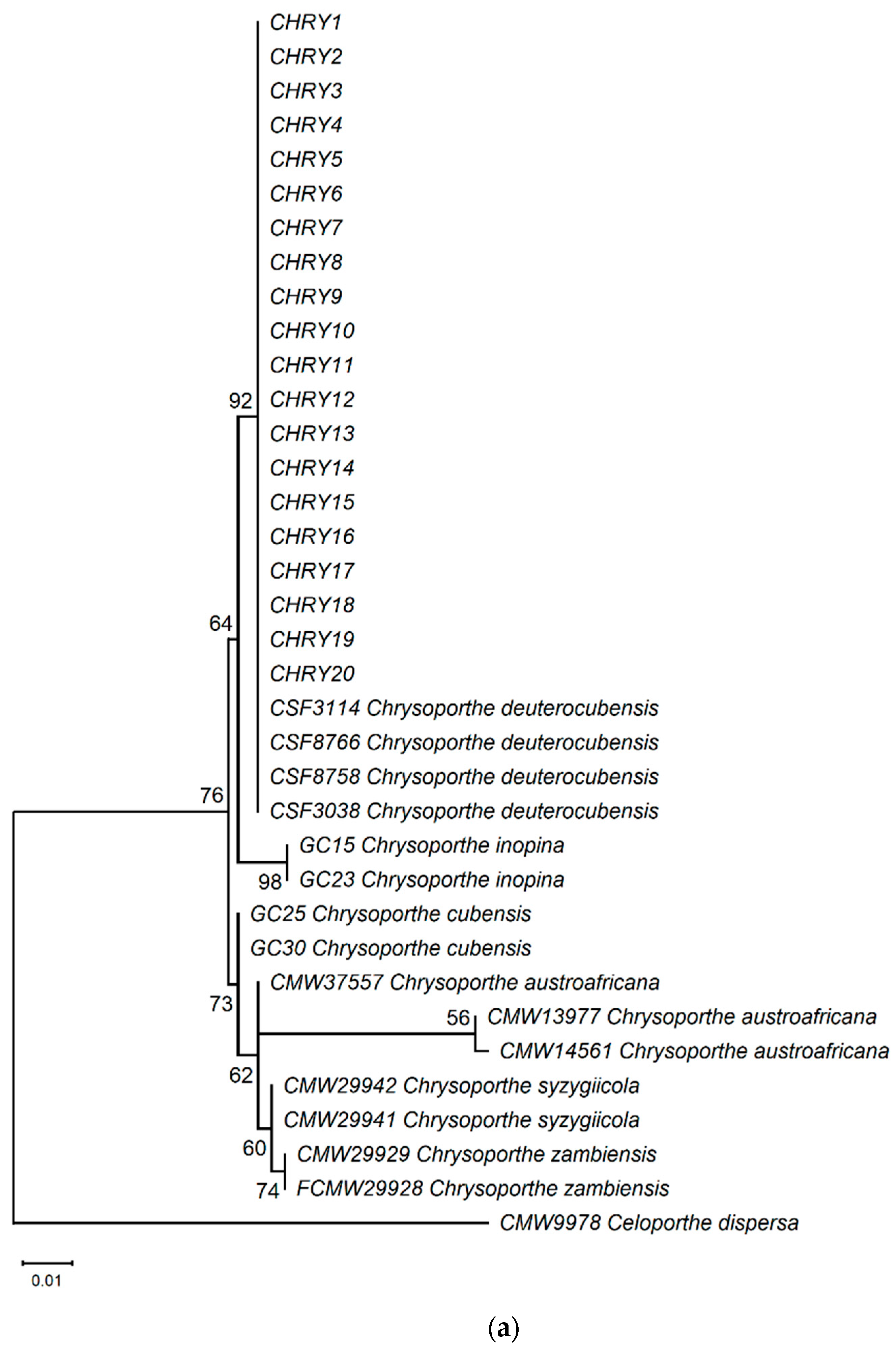 Forests 14 02337 g006a