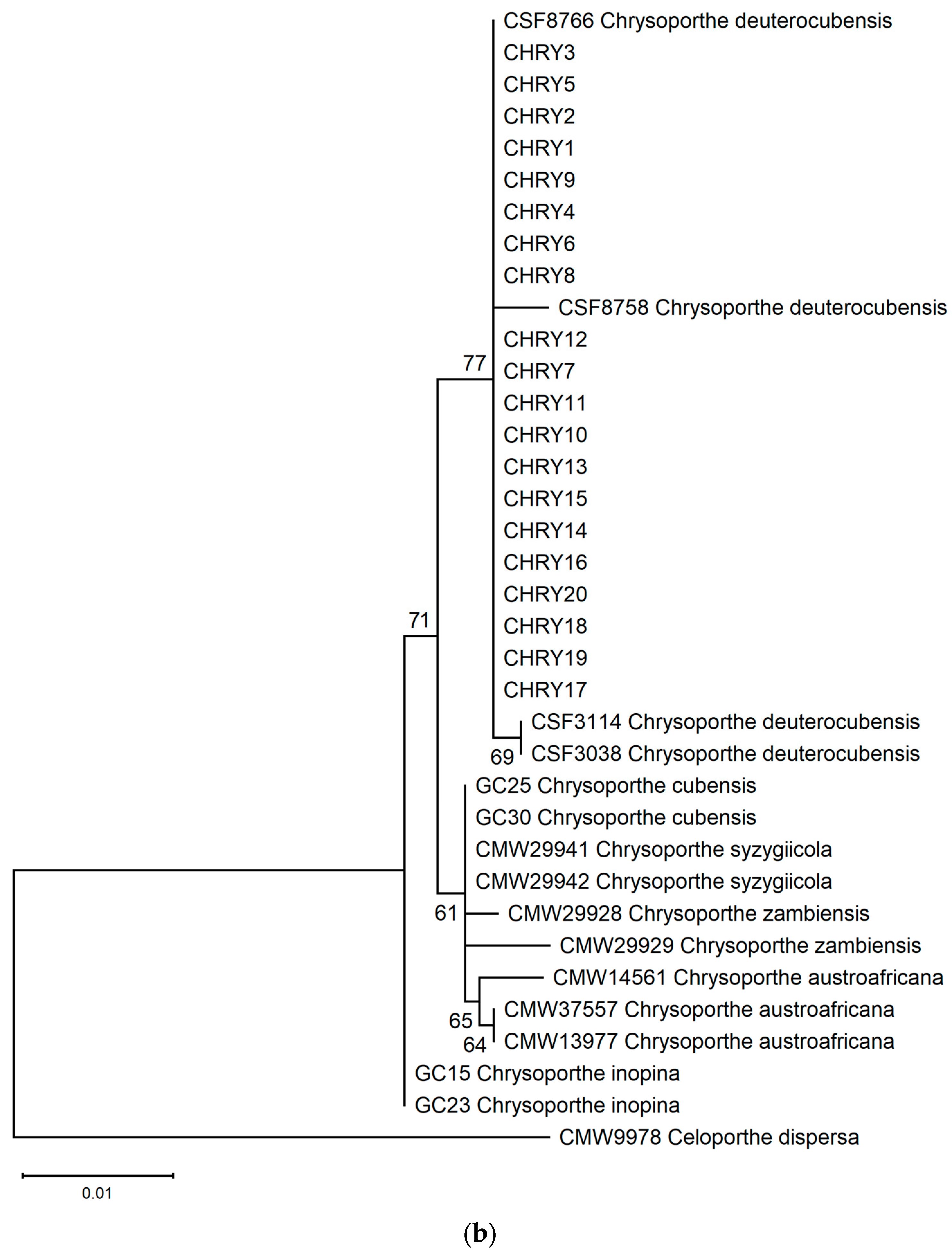 Forests 14 02337 g006b