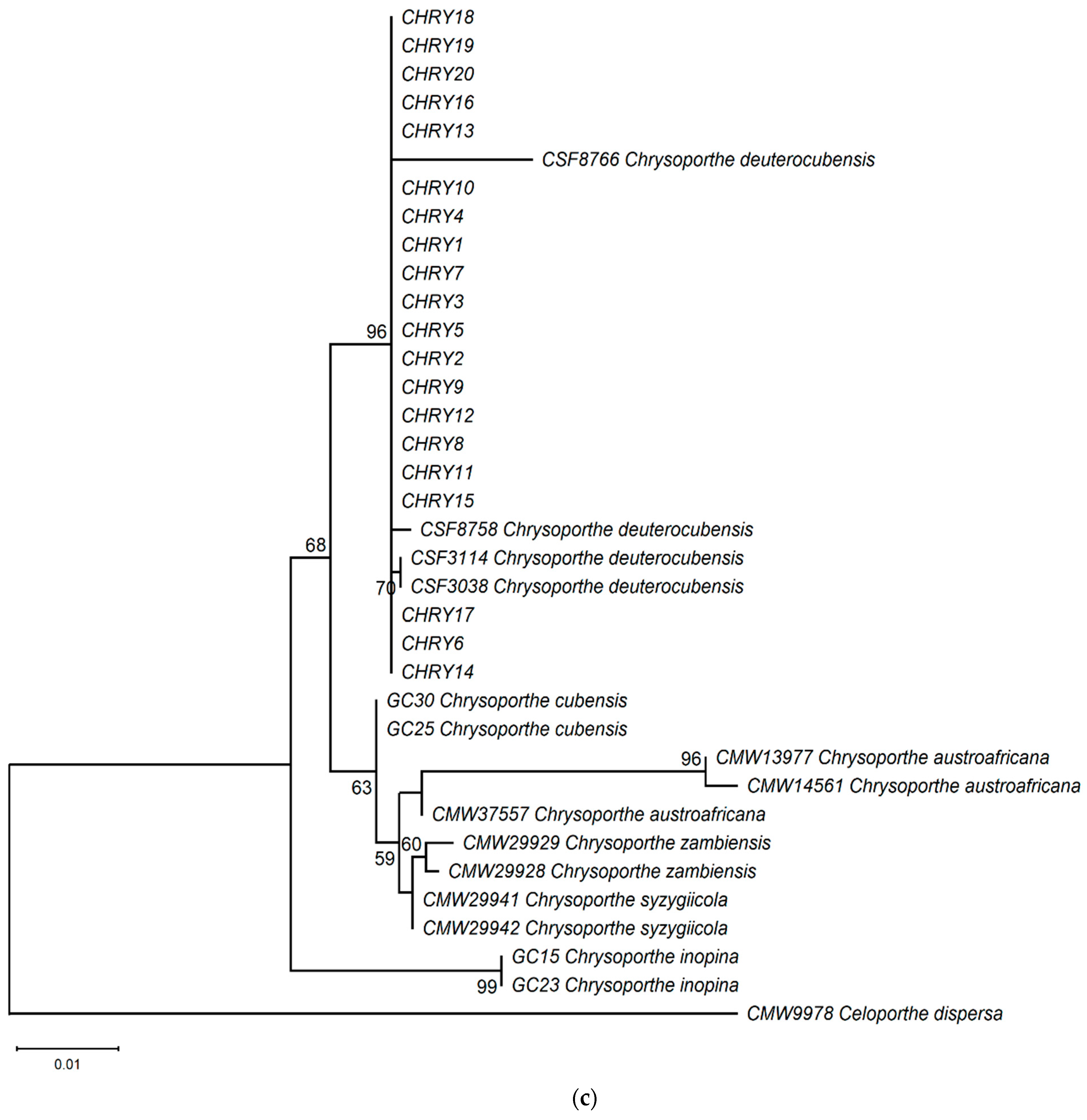 Forests 14 02337 g006c