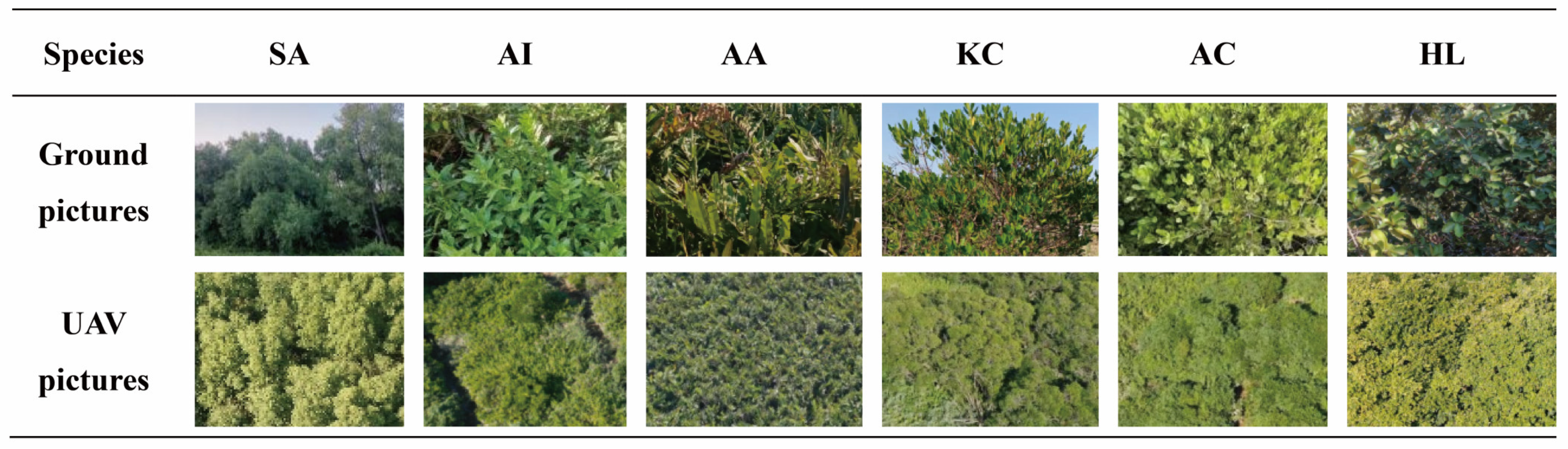 Forests 14 02356 g002 Forests 14 02356 g002