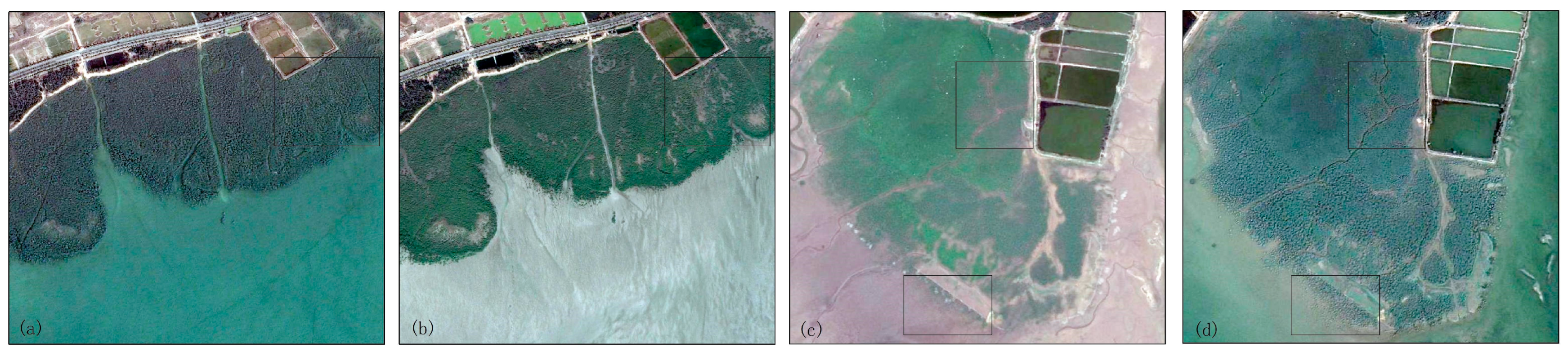 Forests 14 02399 g006