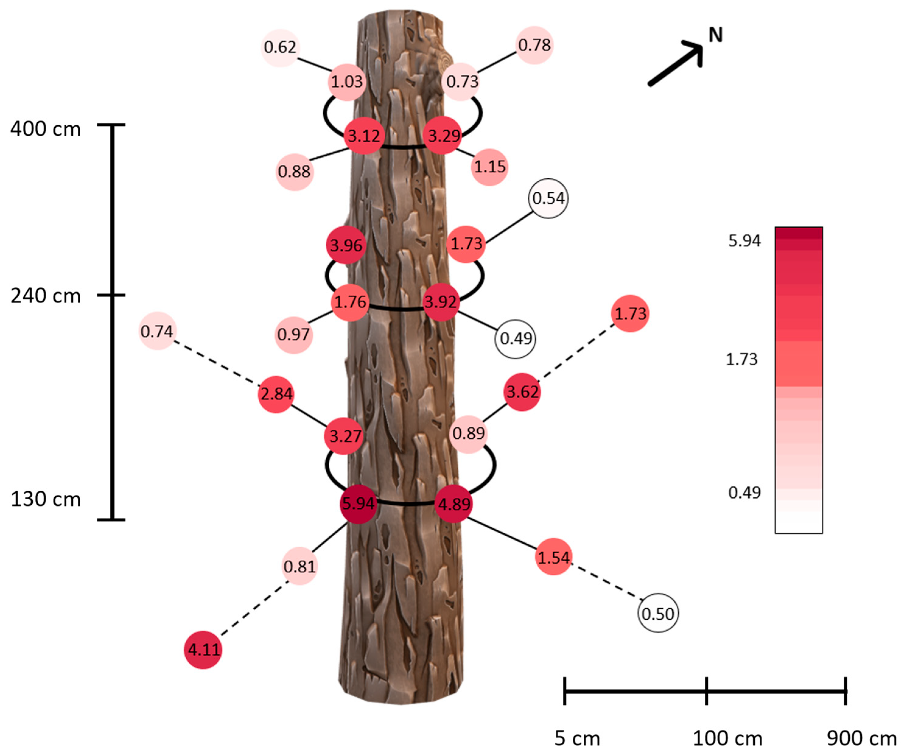 Forests 15 00010 g007