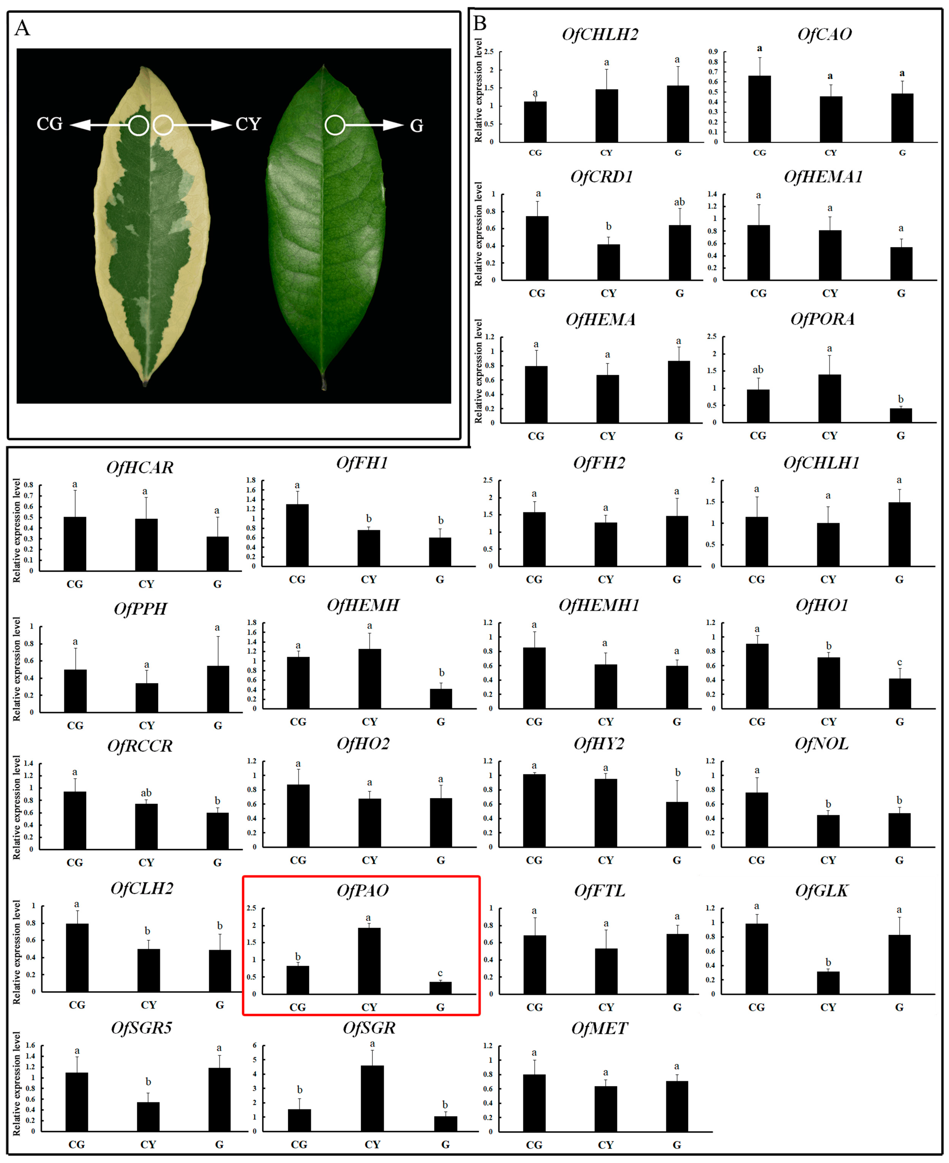 Forests 15 00011 g001