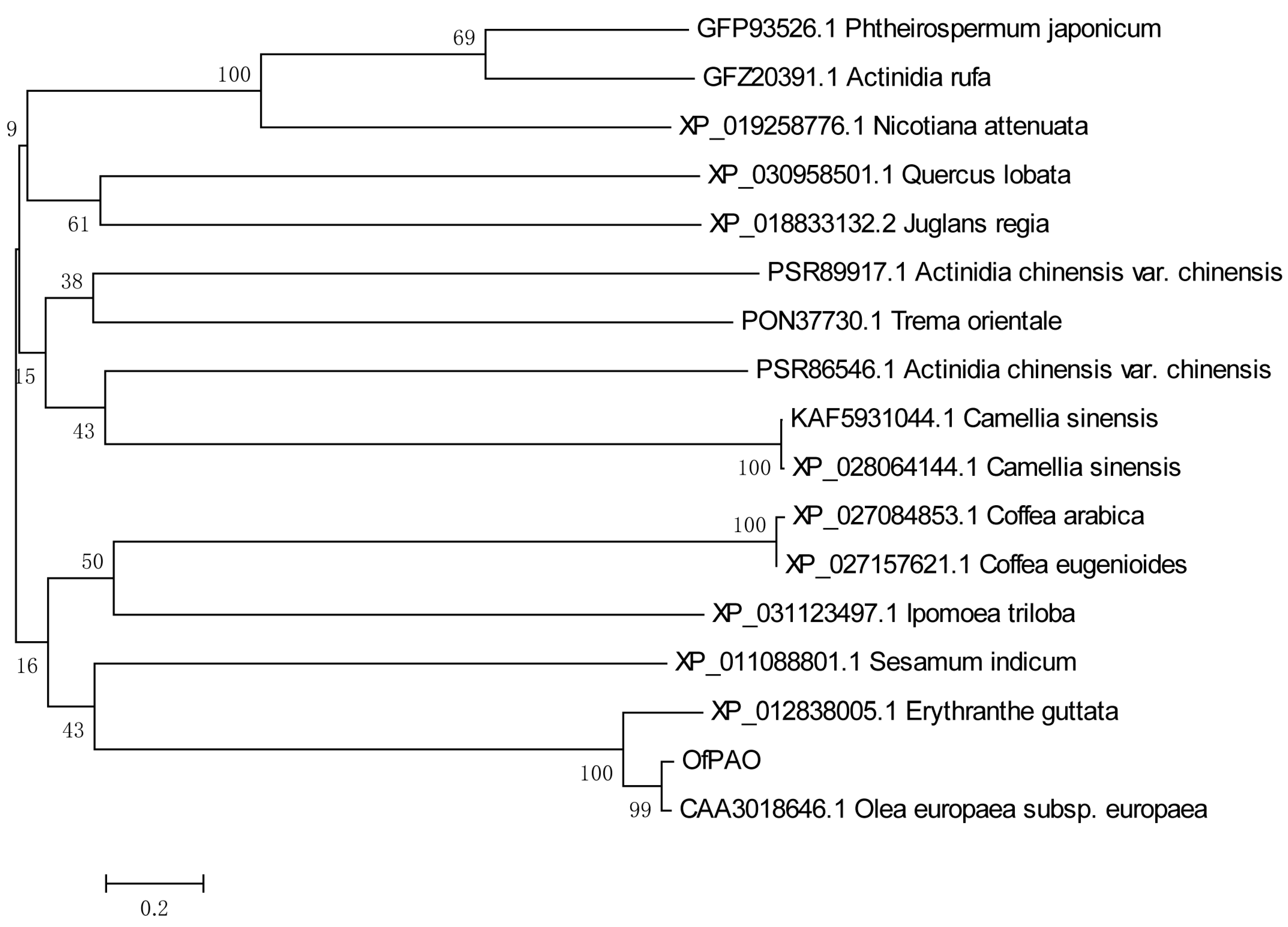 Forests 15 00011 g004