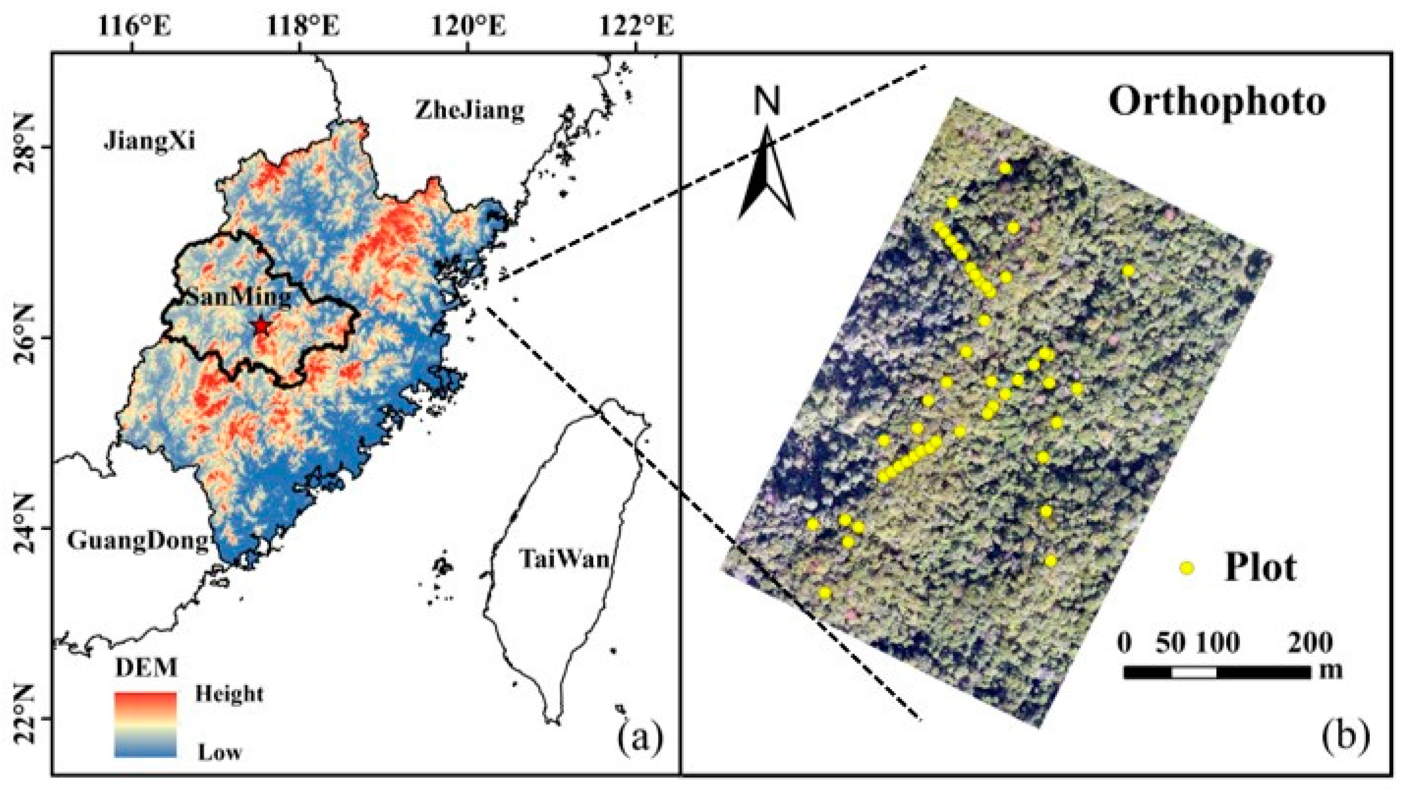 Forests 15 00017 g001