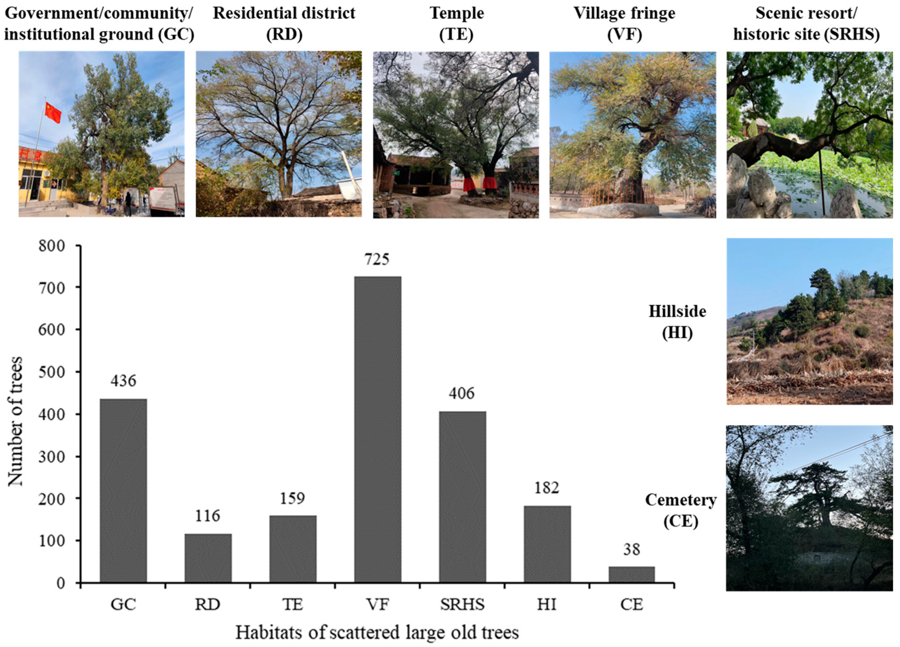 Forests 15 00018 g004