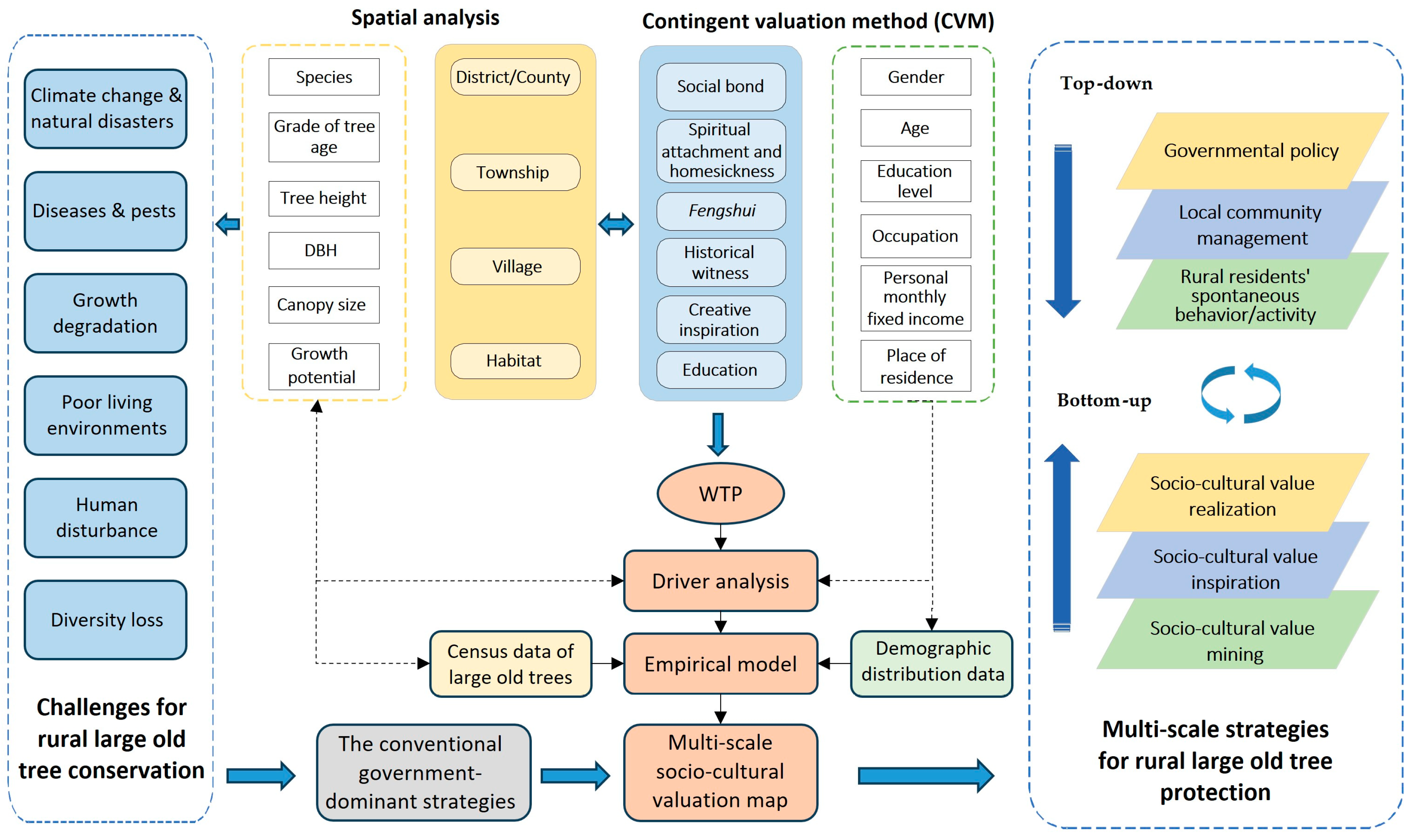 Forests 15 00018 g007