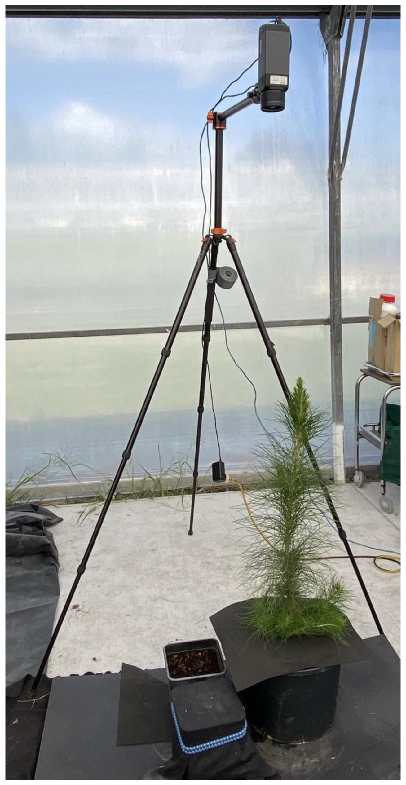 Forests 15 00028 g0a1