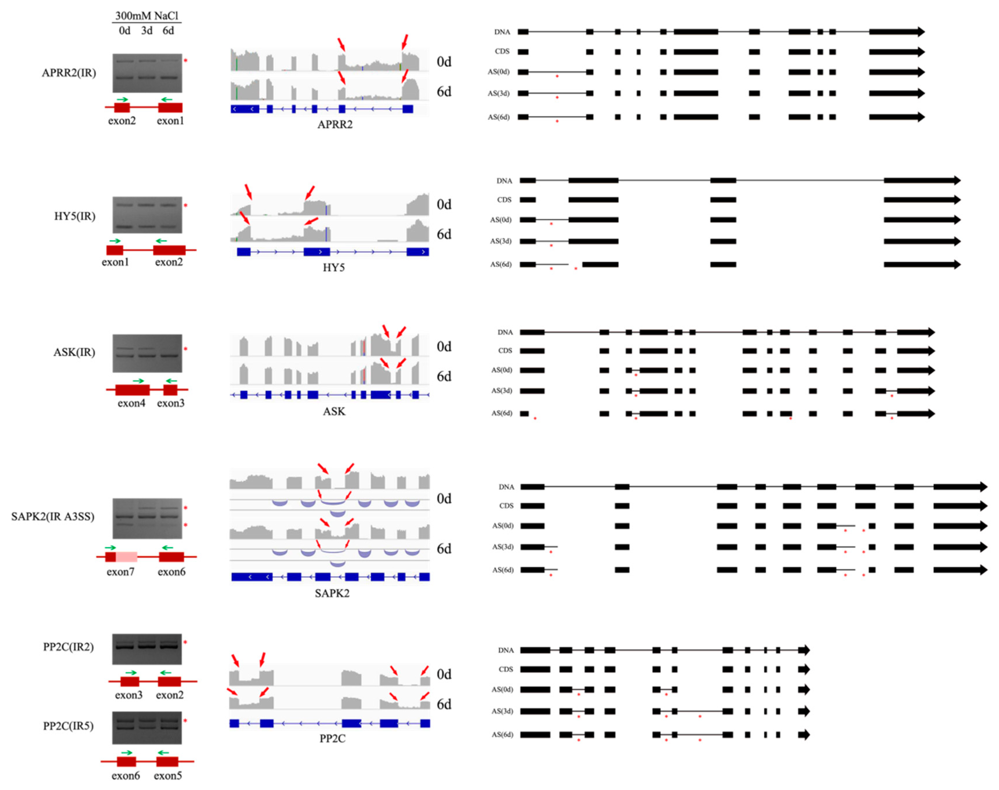 Forests 15 00030 g006