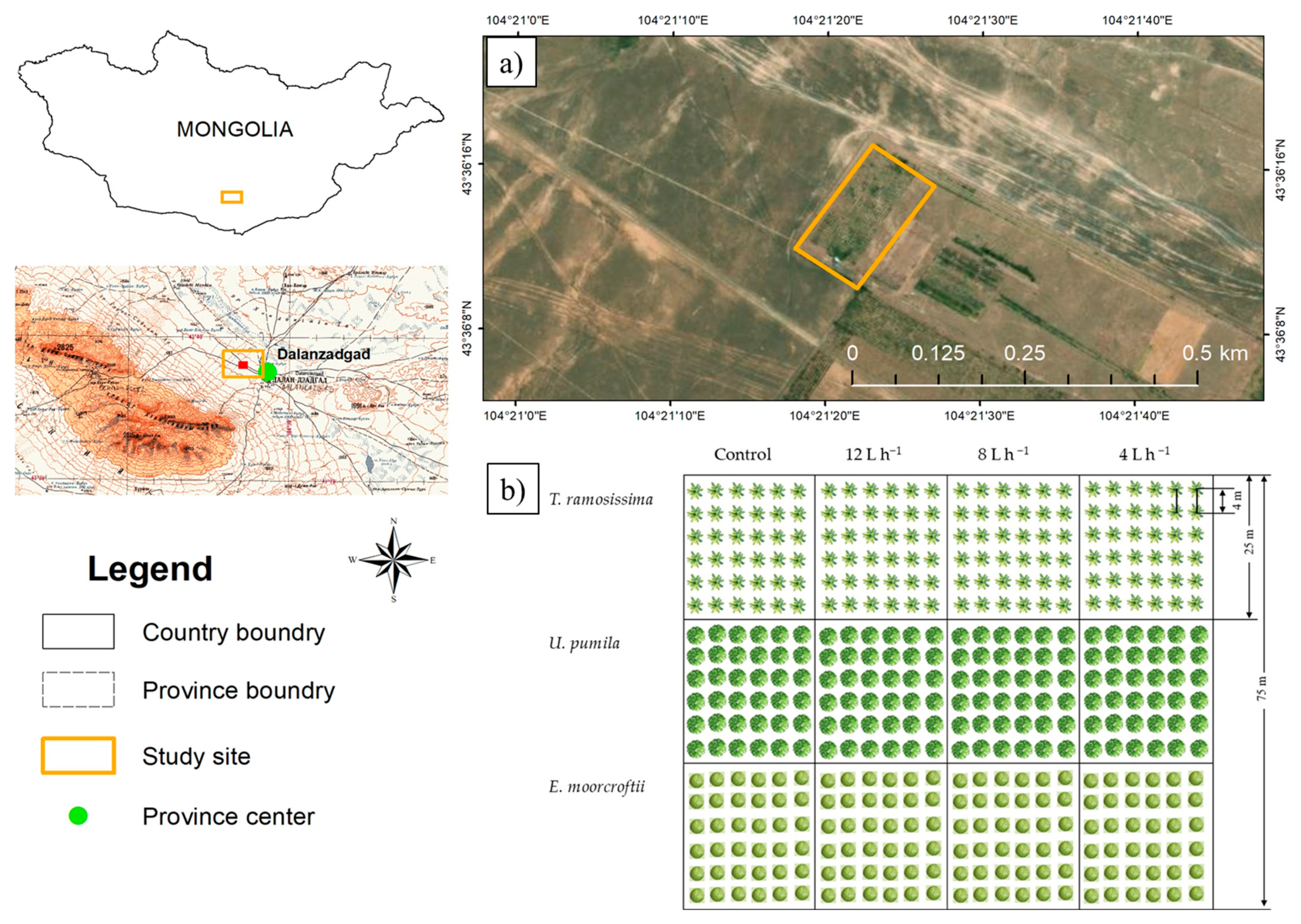 Forests 15 00046 g001