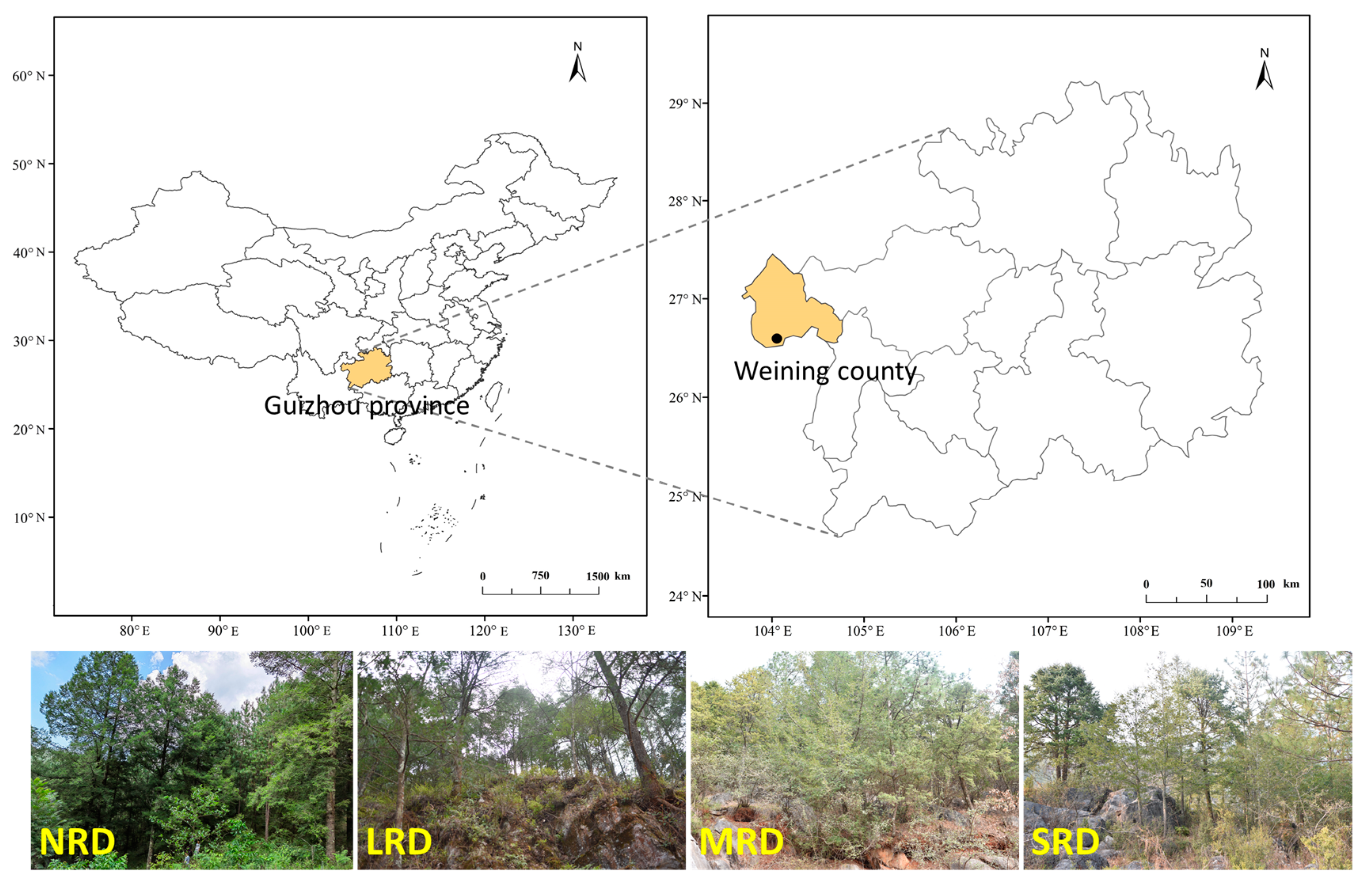 Forests 15 00047 g001