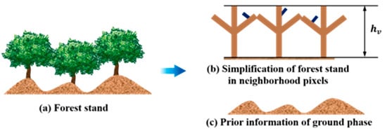 Forests | Free Full-Text | A Fourier–Legendre Polynomial Forest Height ...