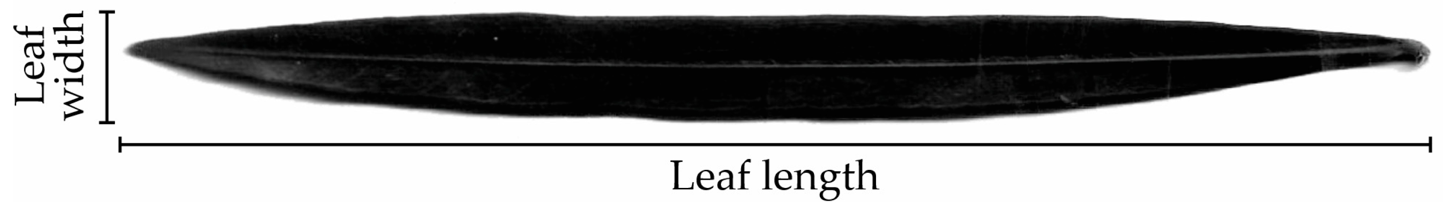 Forests 15 00057 g001